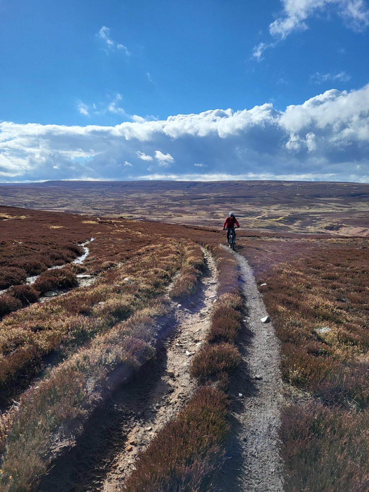 20220312_130944.jpg