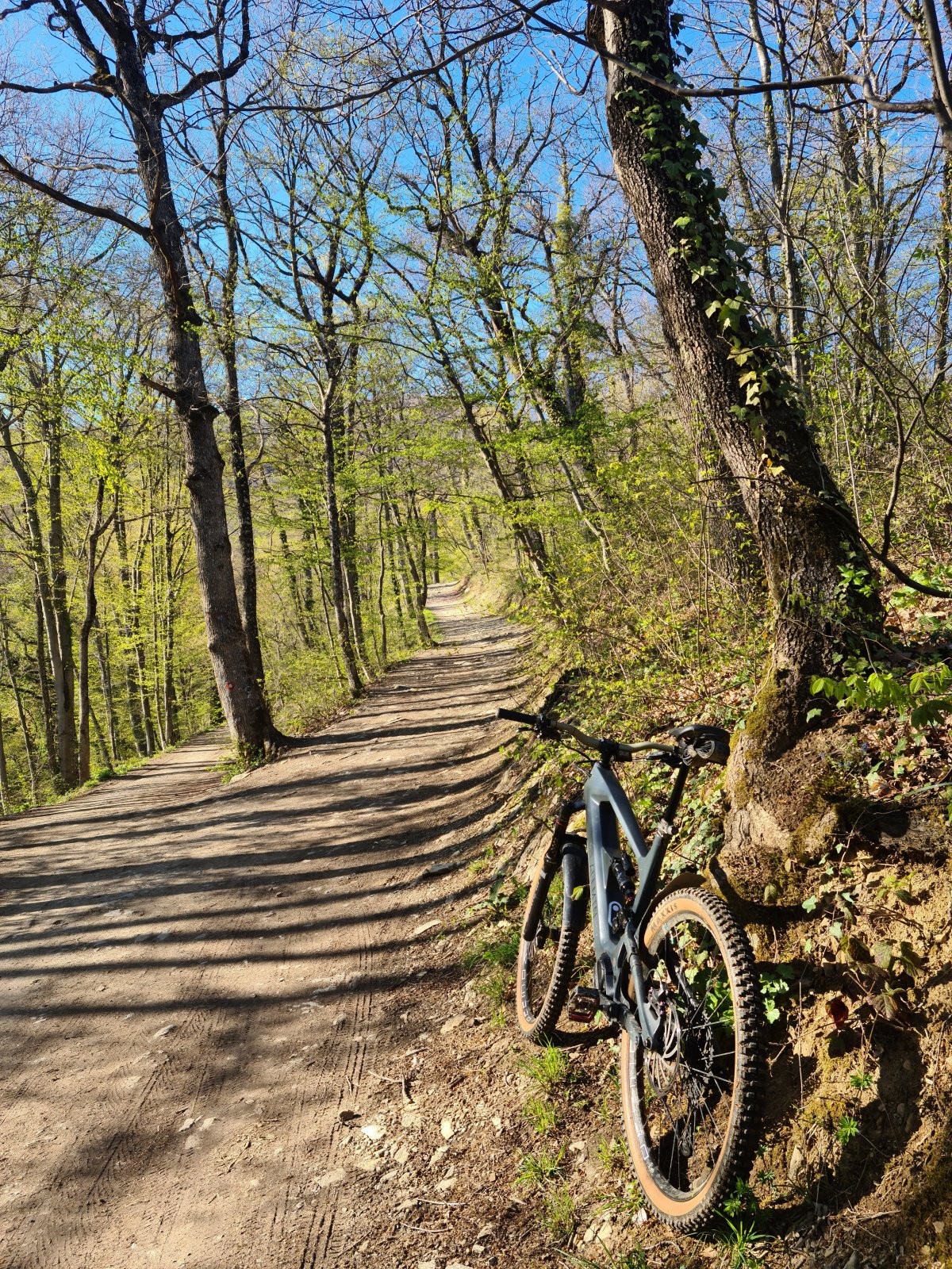 20220411_170335_copy_3468x4624.jpg