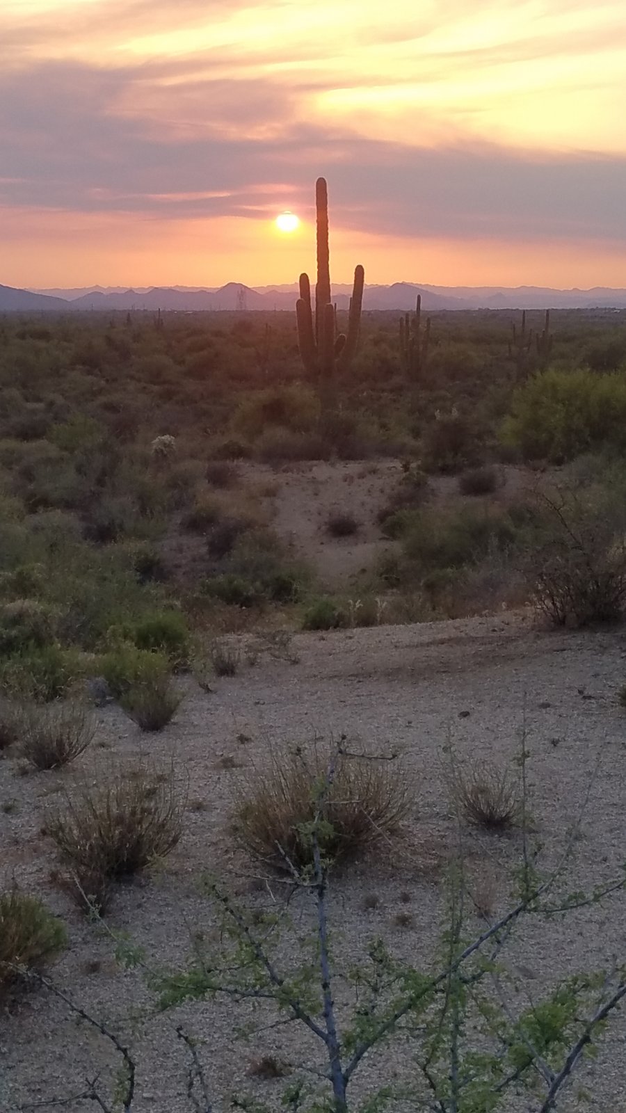 20220424_185306.jpg