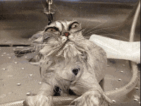 20220425_090012.gif