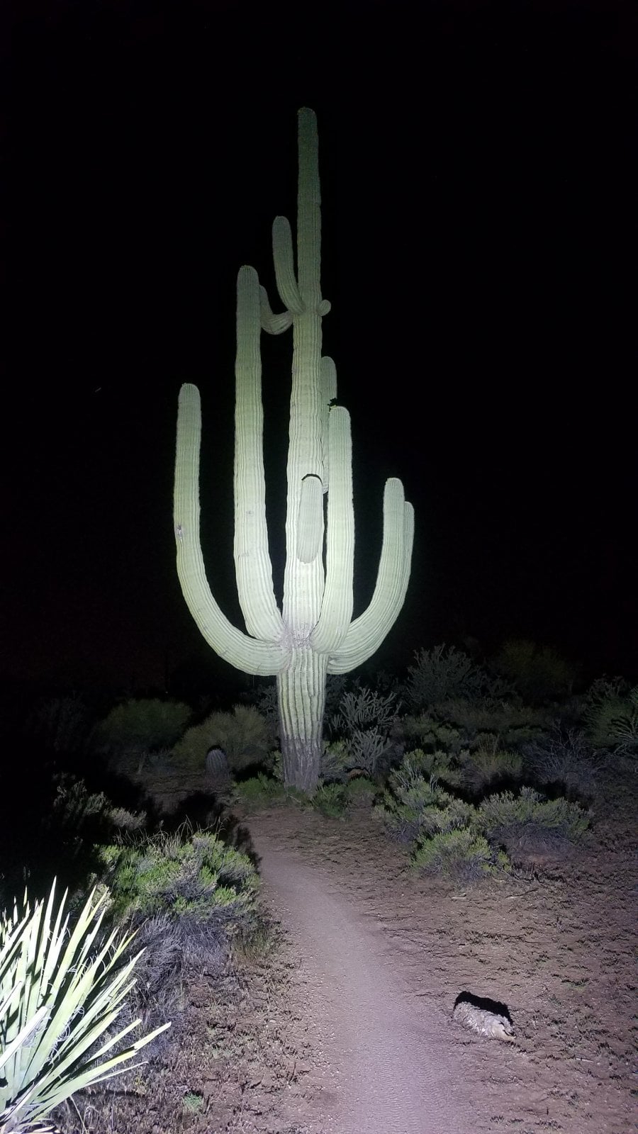 20220502_220339.jpg