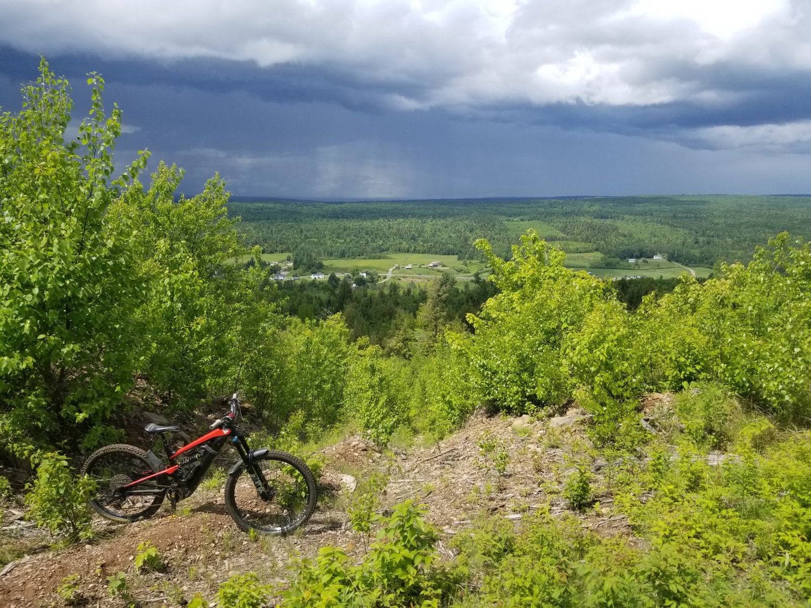 20220605_142848.jpg