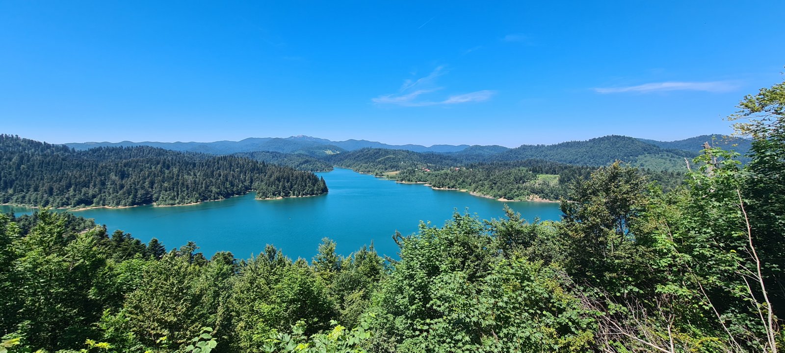 20220619_132546.jpg