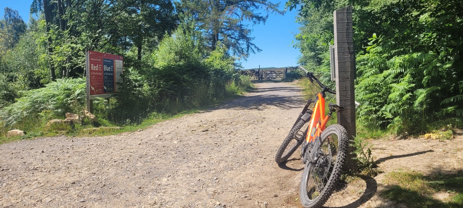 20220710_121757.jpg