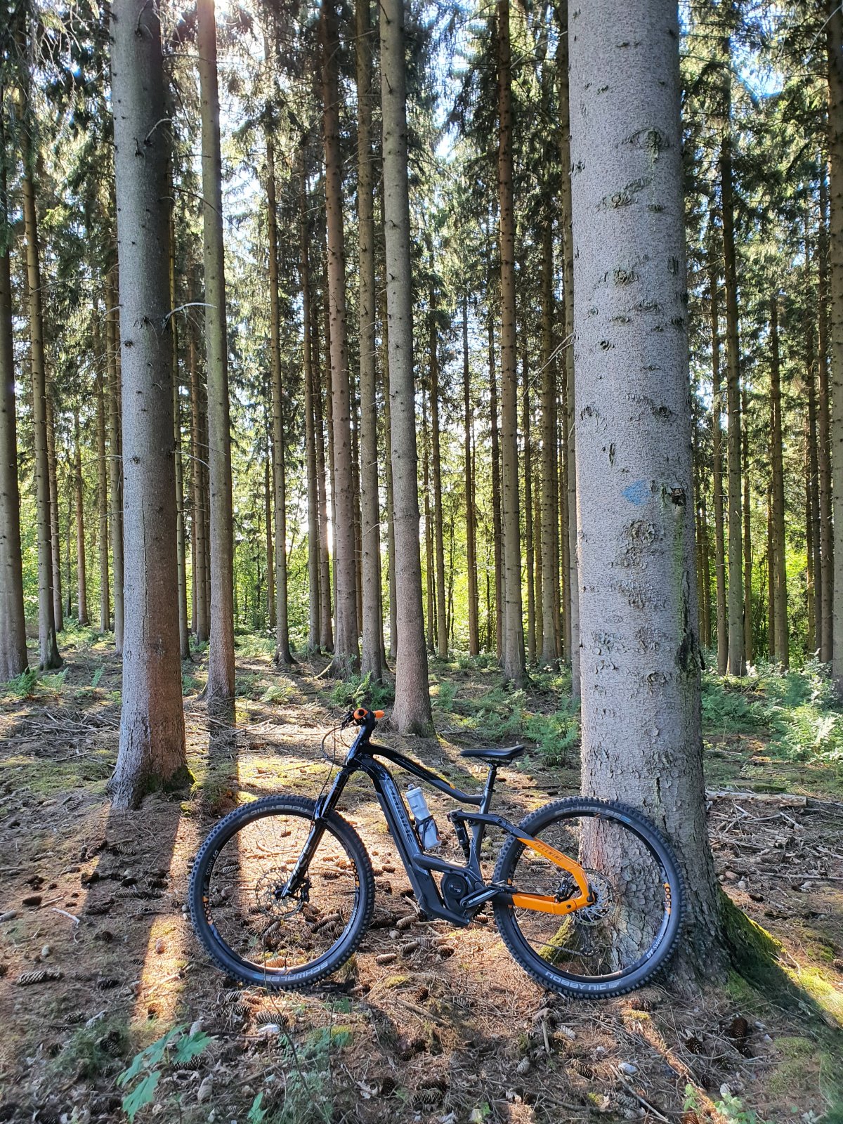 20220803_172536.jpg