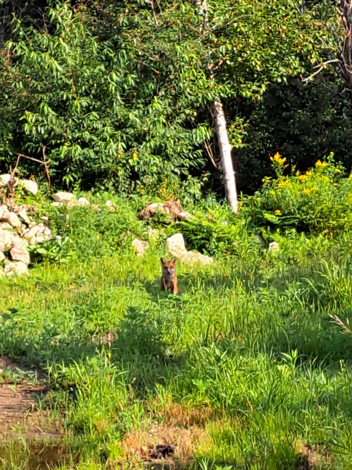 20220810_085159.jpg