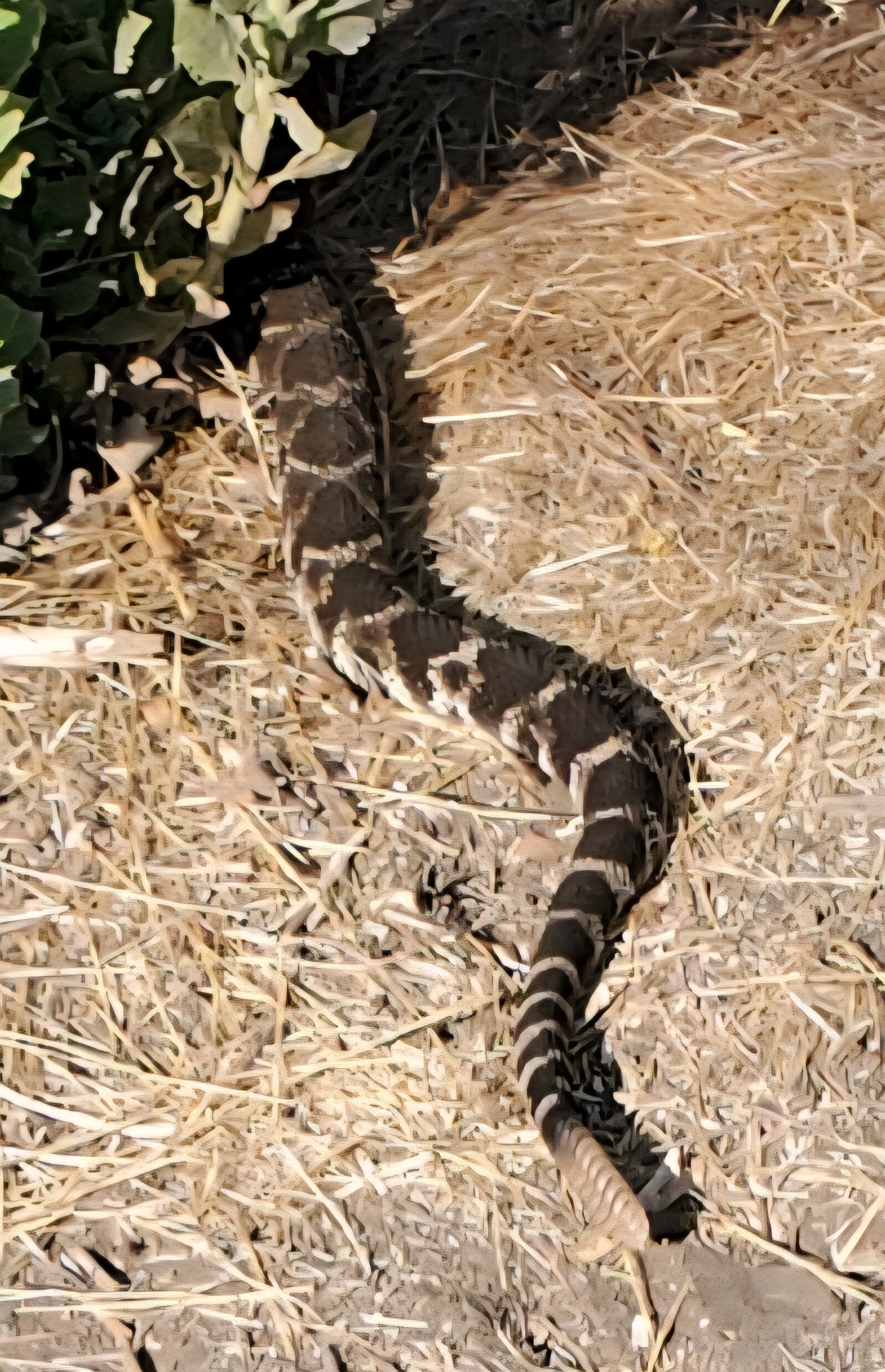 20220818_090048.jpg