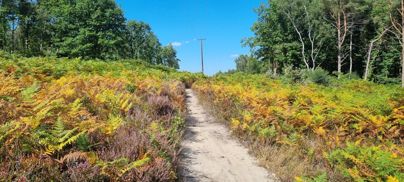 20220819_145131.jpg