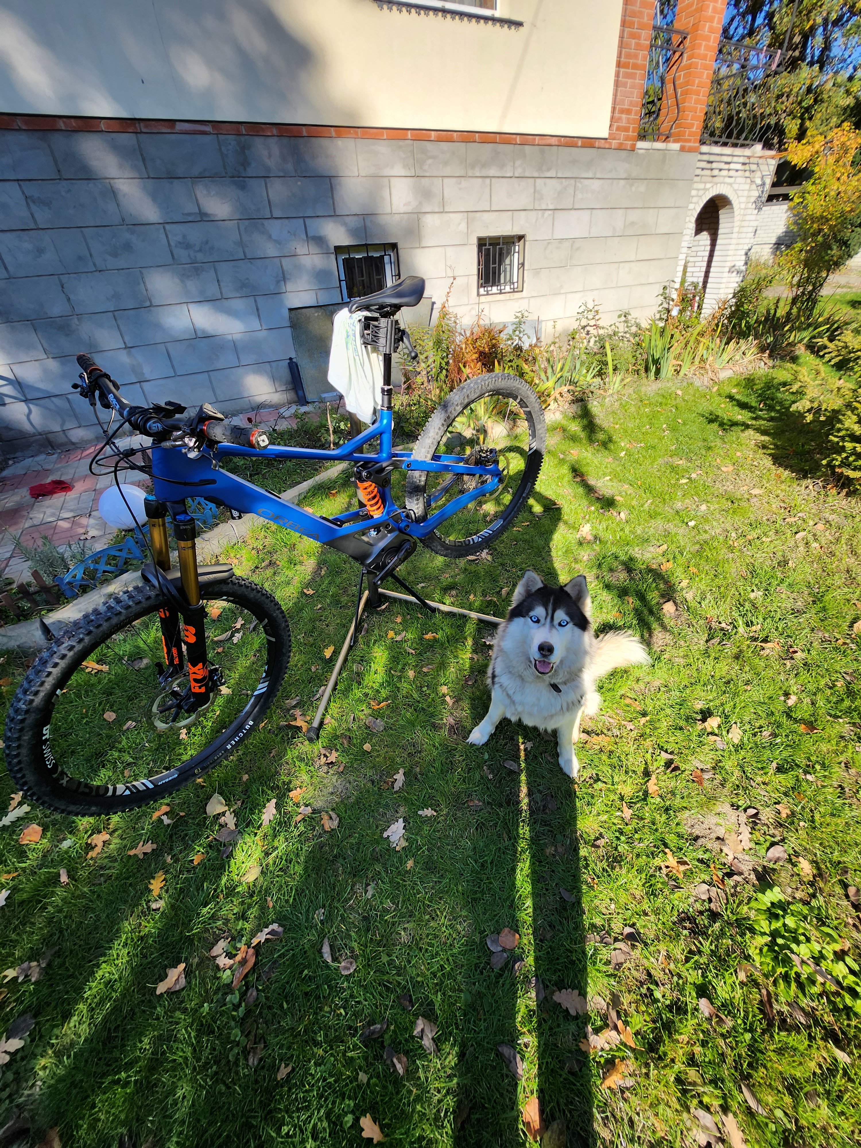 20221018_141138.jpg