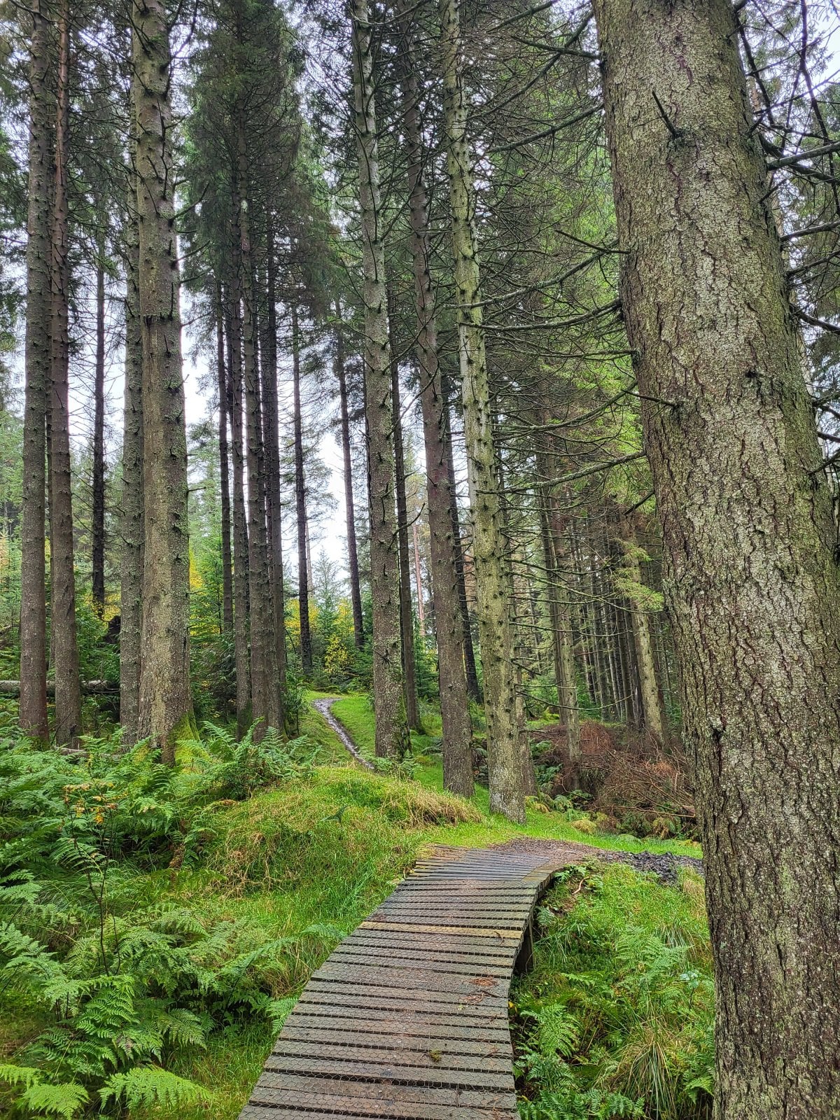 20221022_142752.jpg
