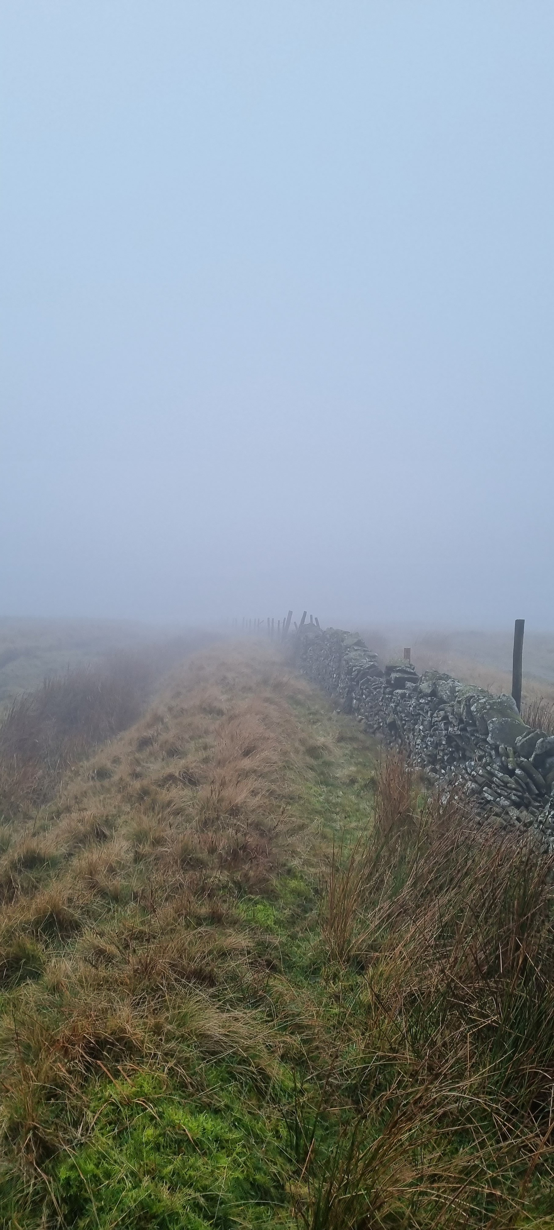20221106_101930.jpg
