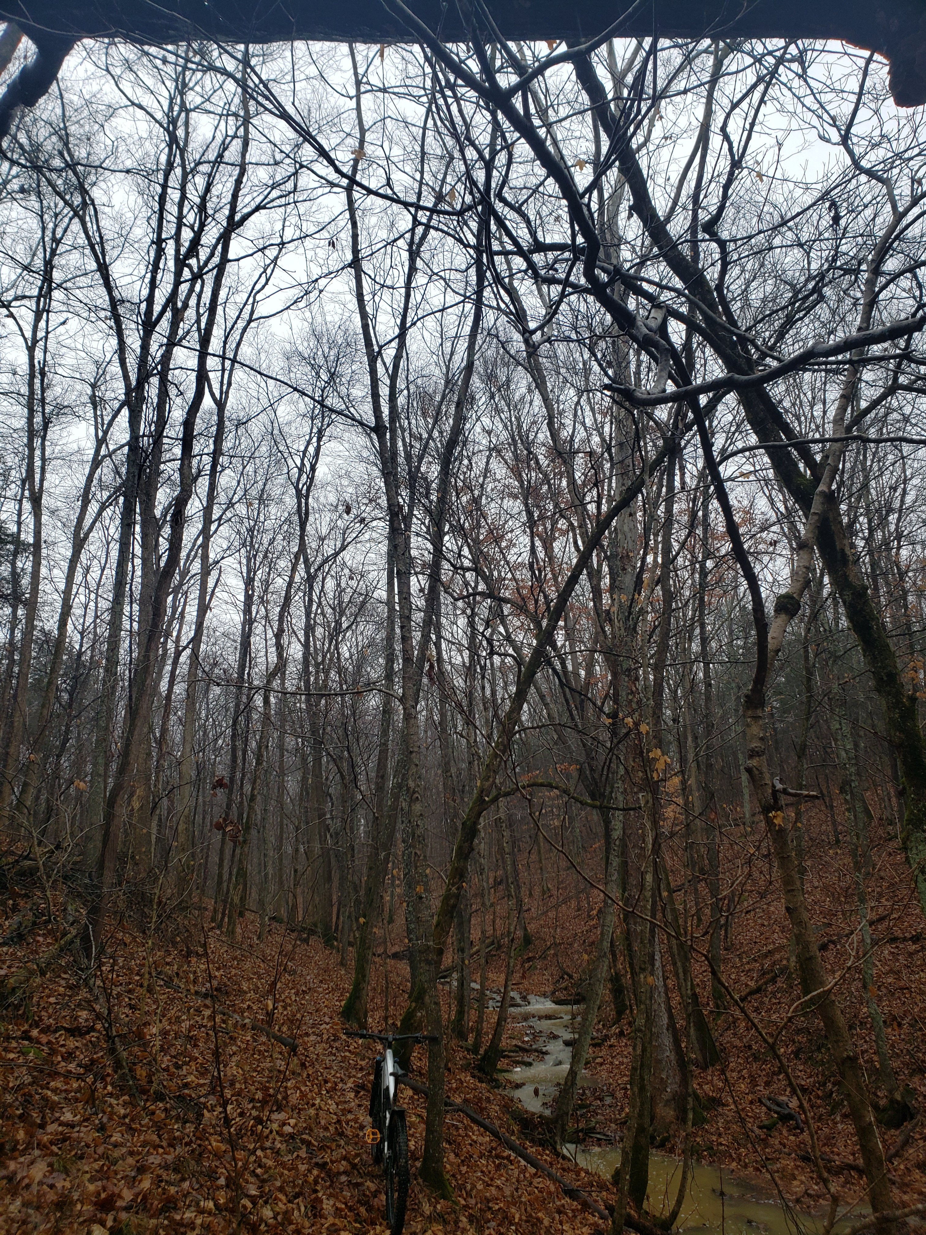 20221214_113141.jpg