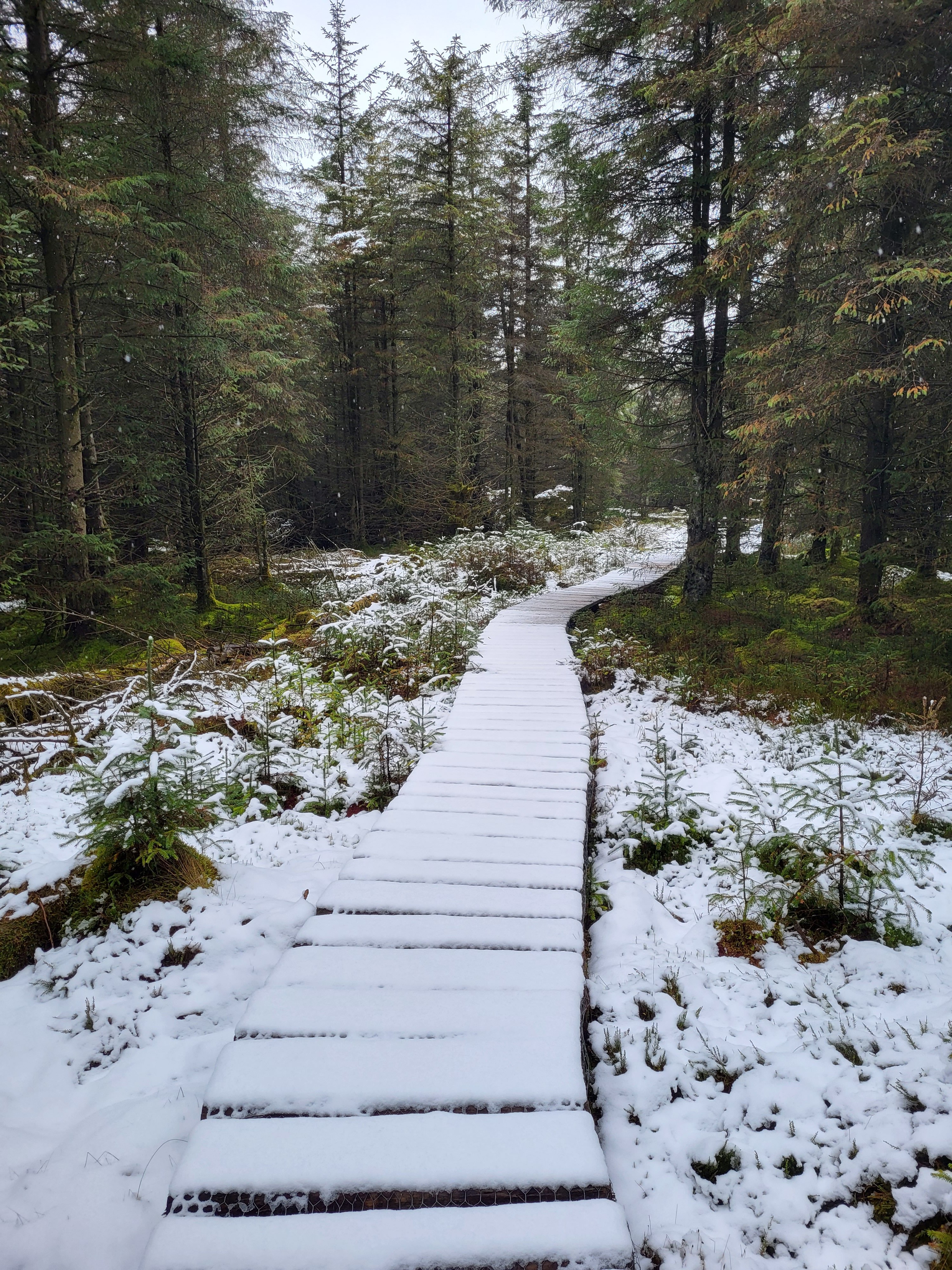 20230326_120739.jpg