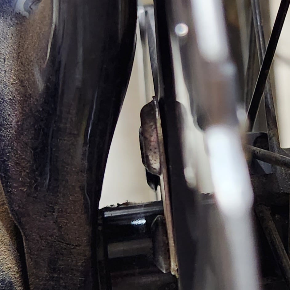 20230703_104550.jpg