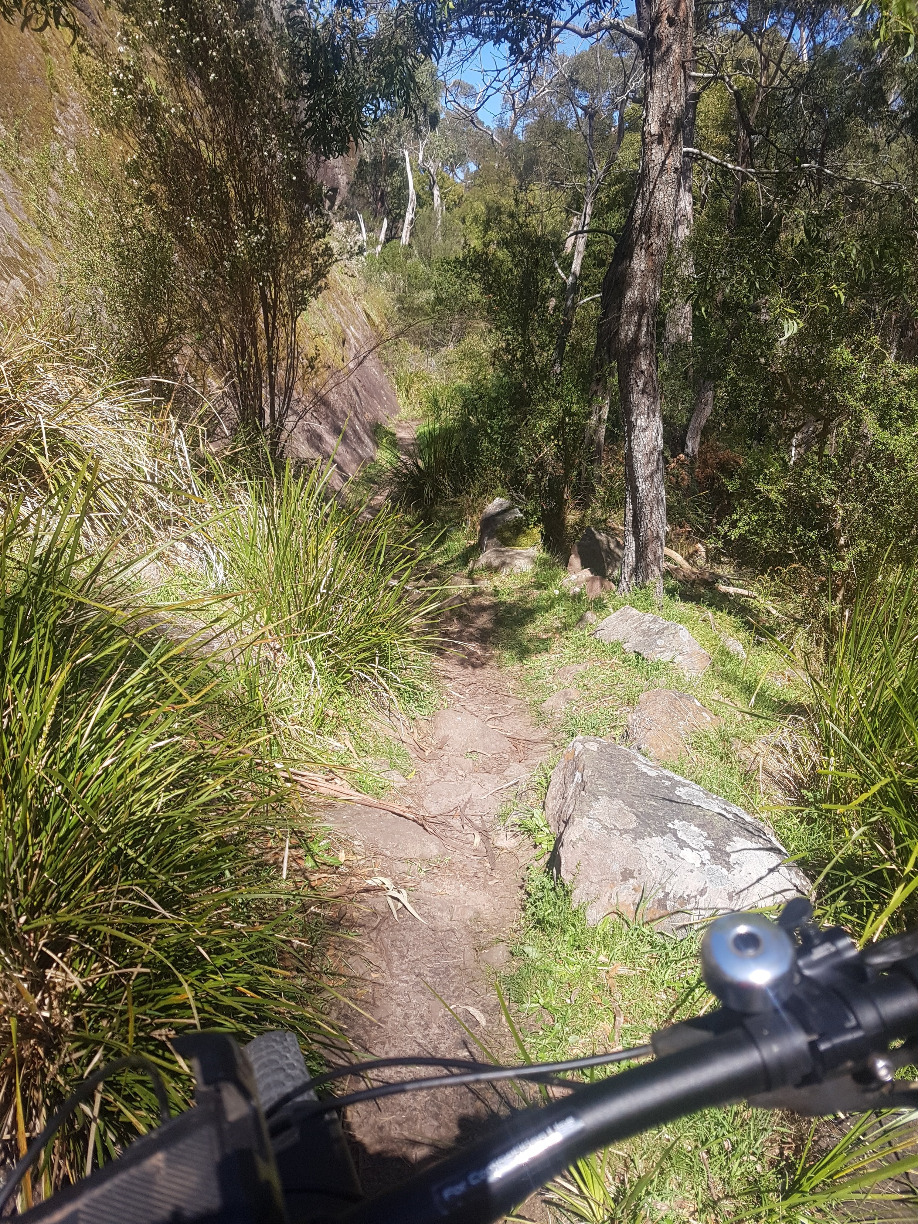 20230915_131322.jpg
