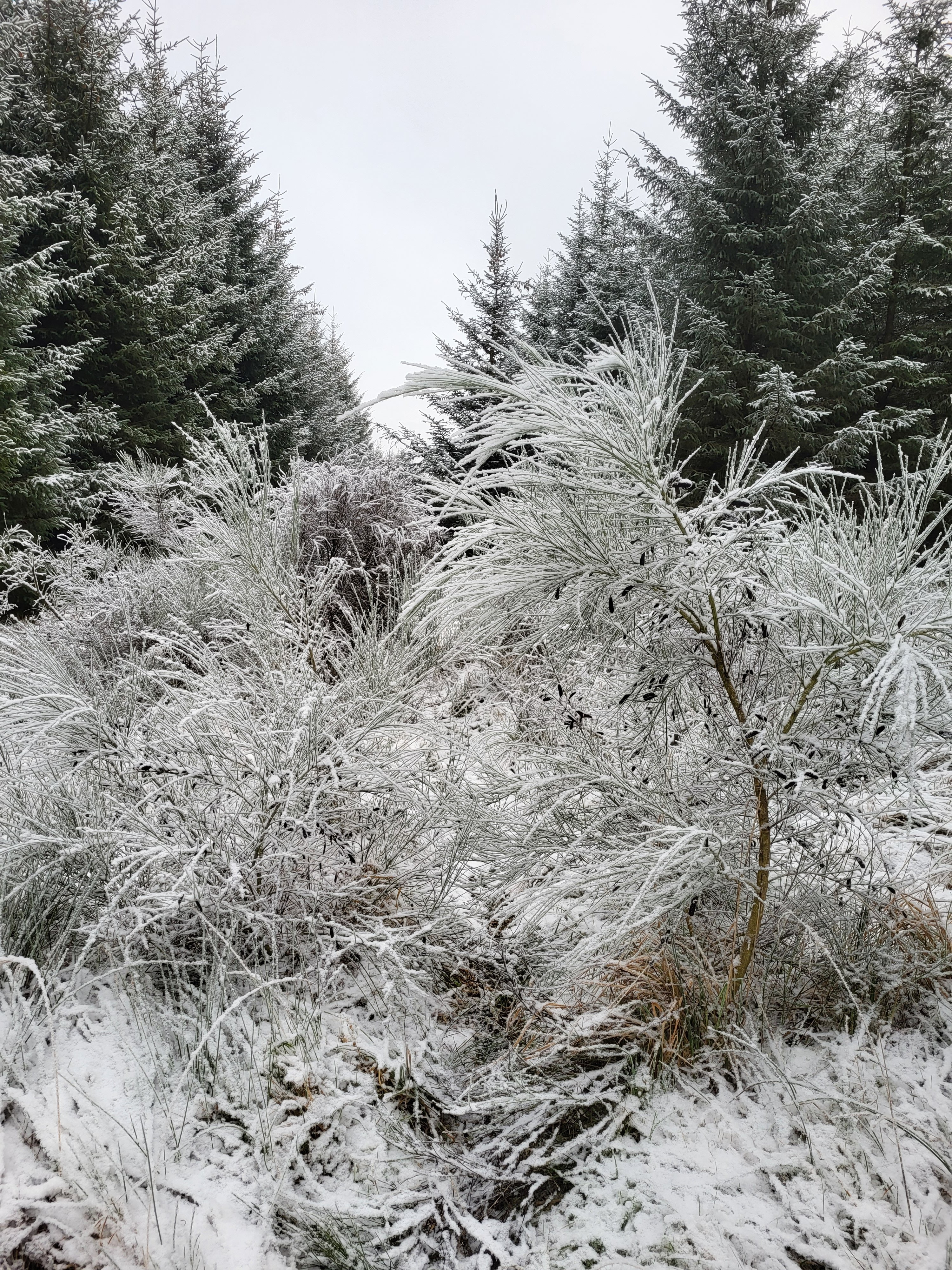20231203_122726.jpg