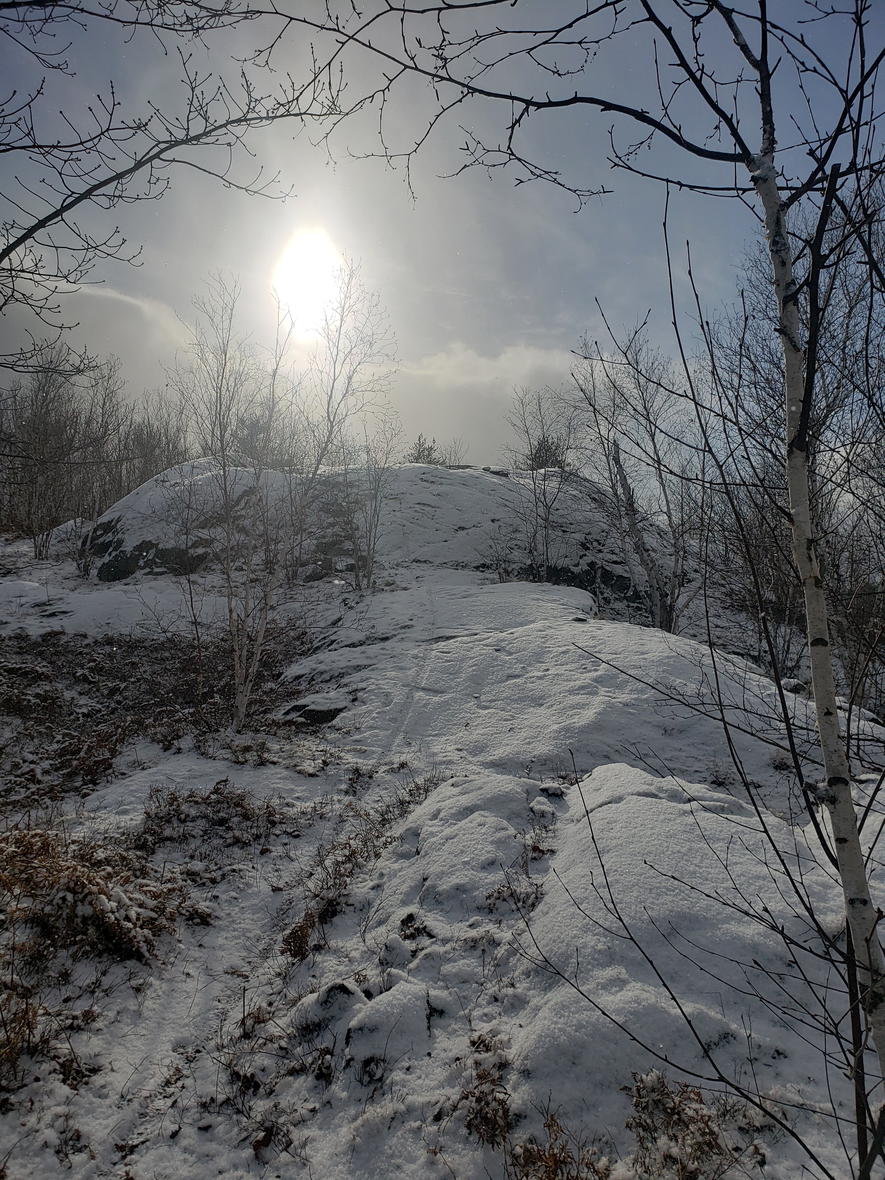 20231231_132833.jpg