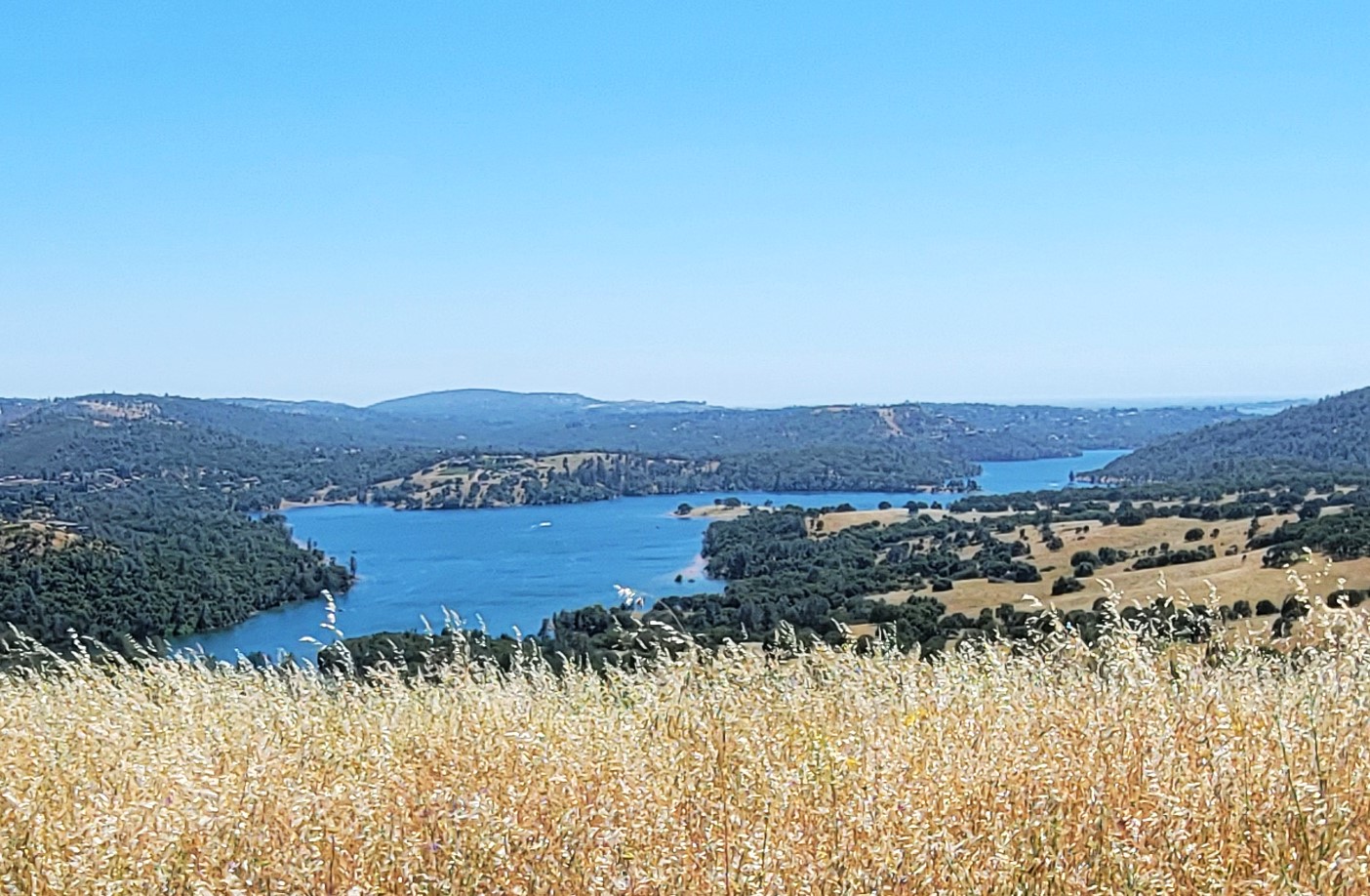 20240524_143517.jpg