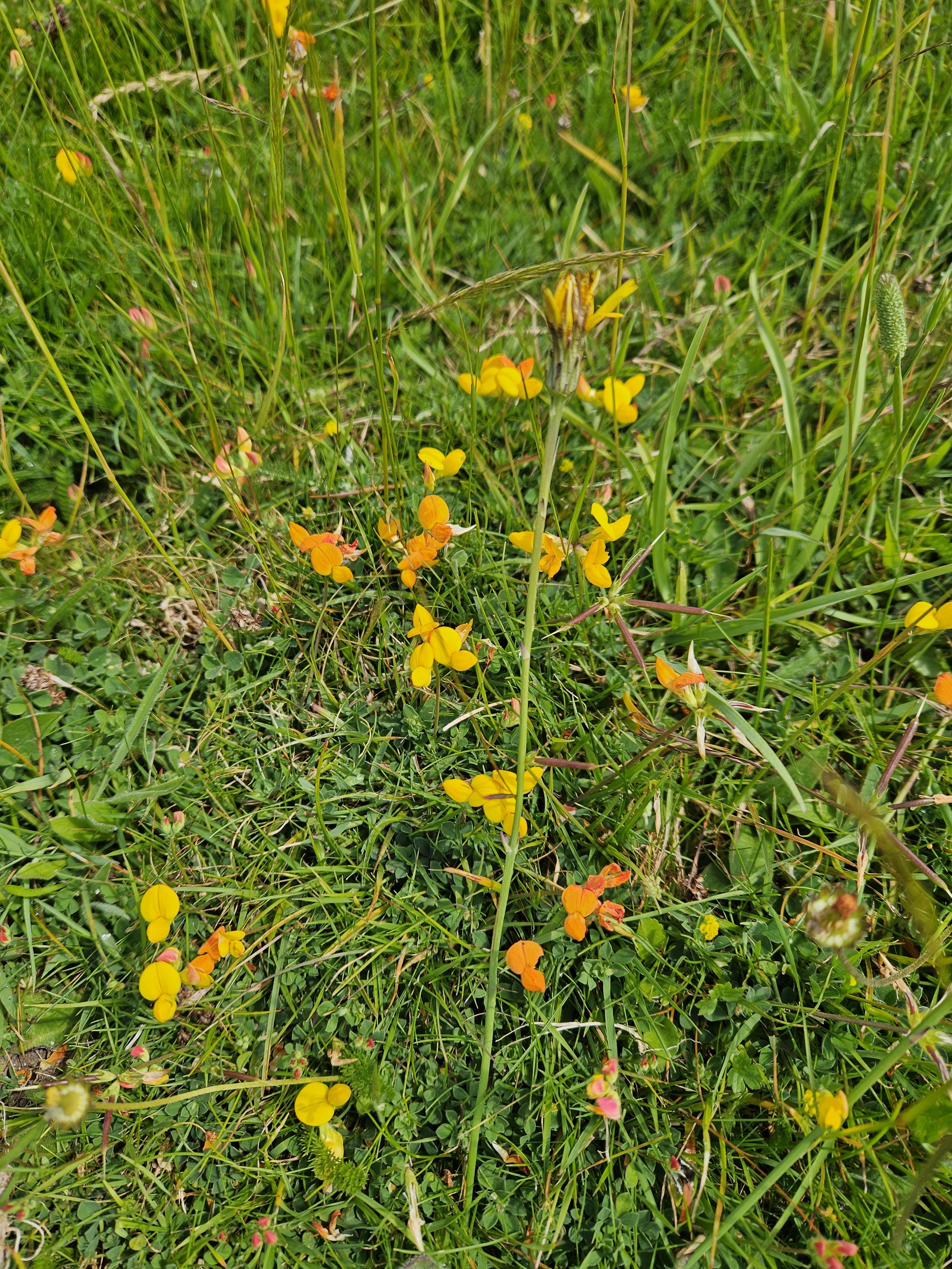 20240622_152506.jpg