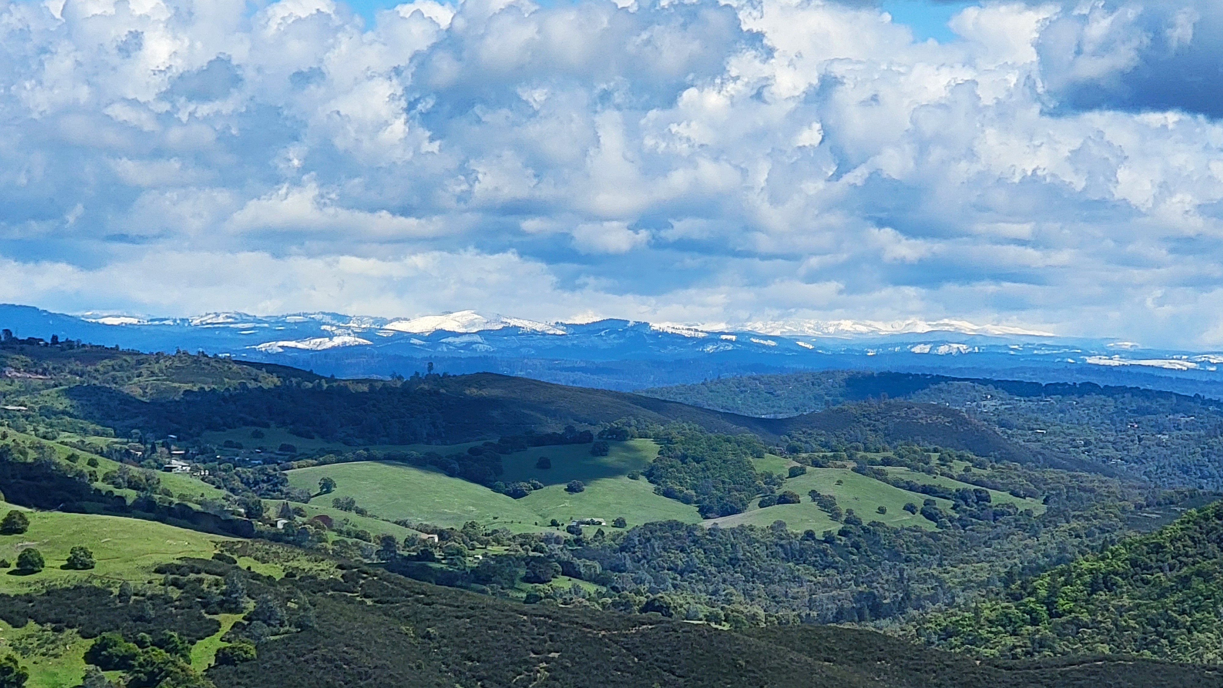 20250402_131158.jpg
