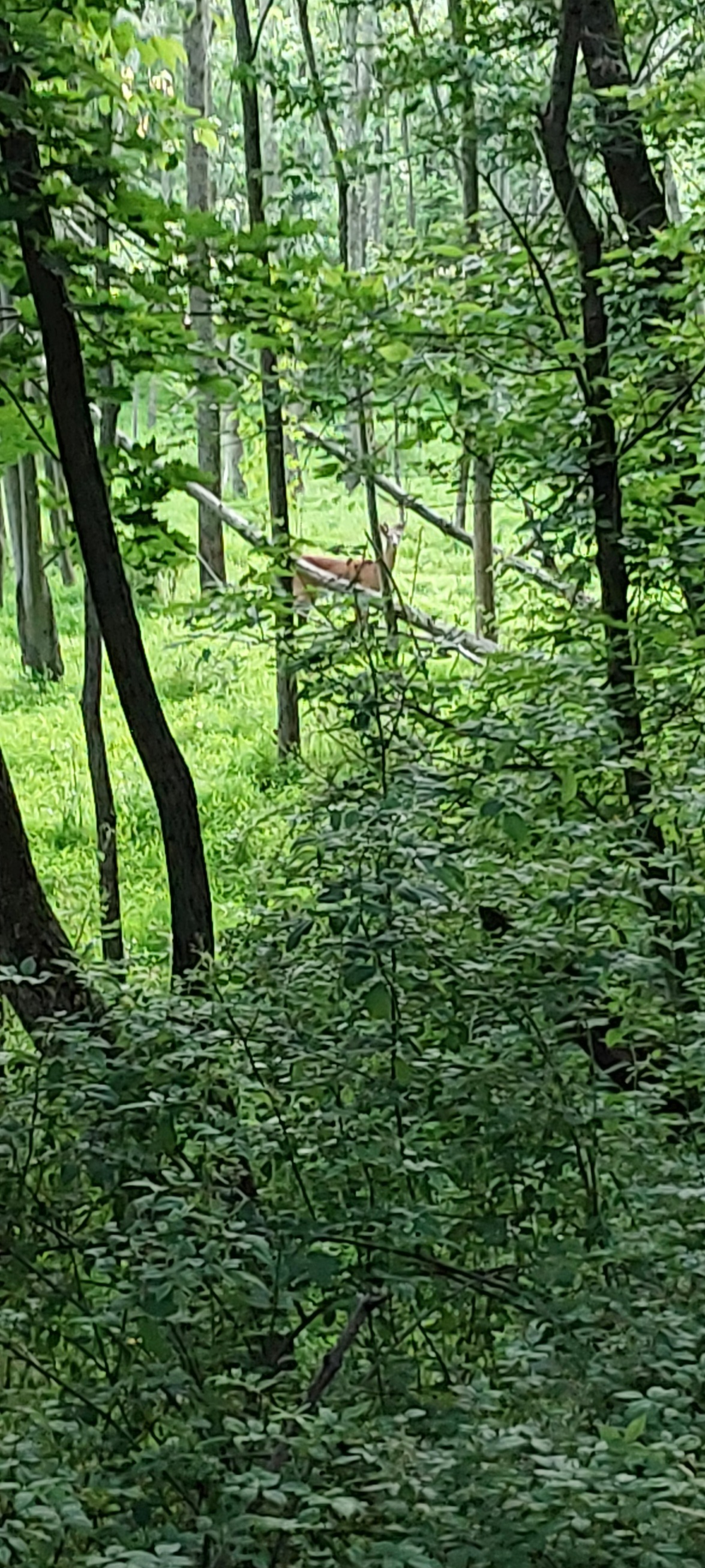 20250607_193939.jpg