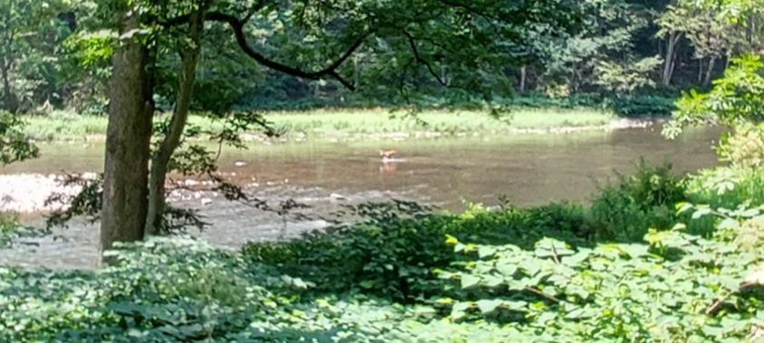 20250705_123004.jpg
