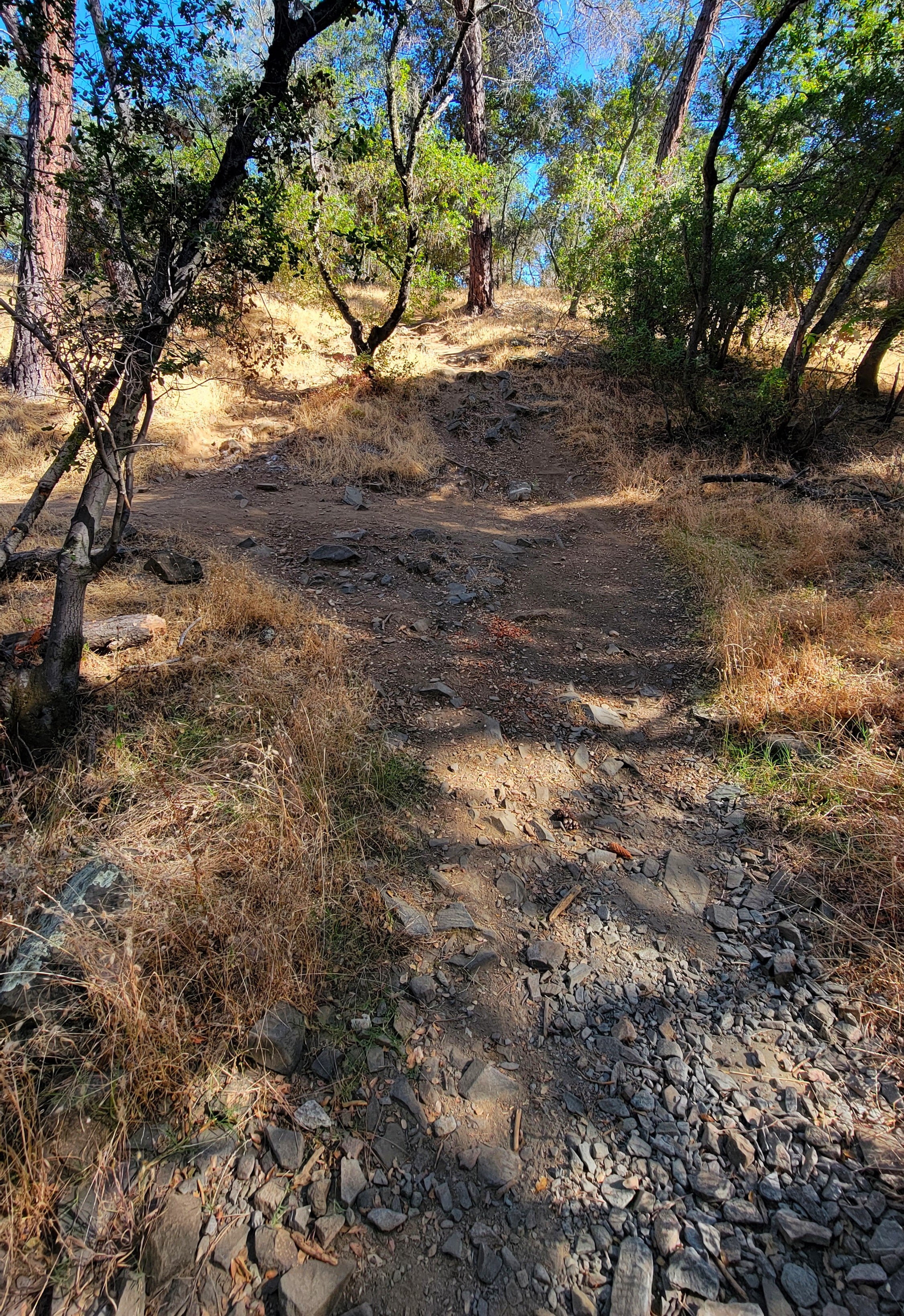 20250709_171649.jpg