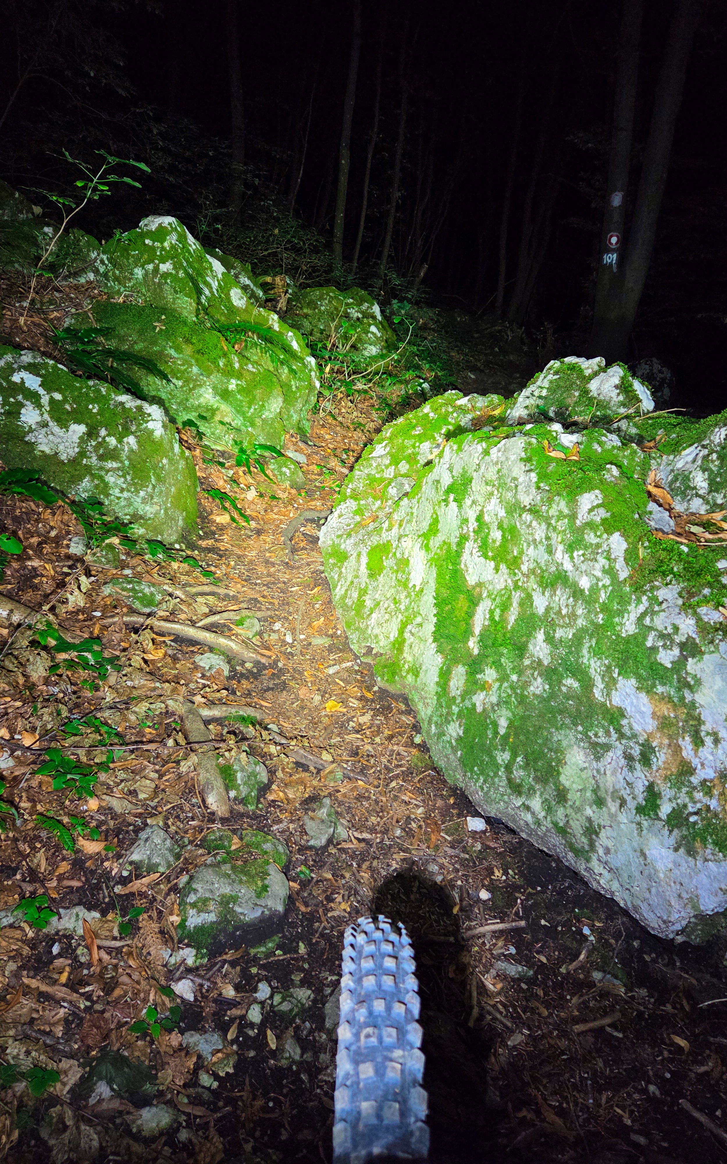 20250915_201927.jpg