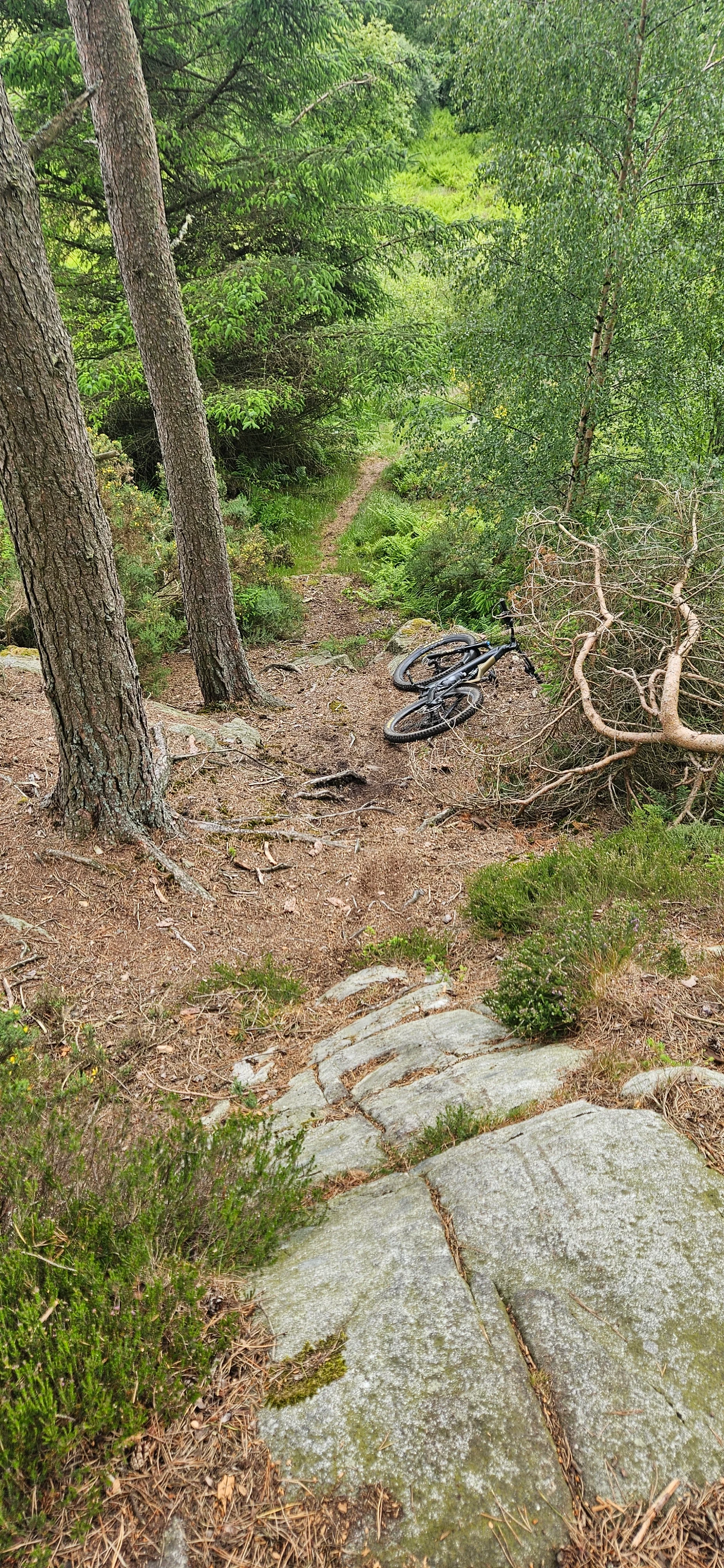 20260614_164046.webp