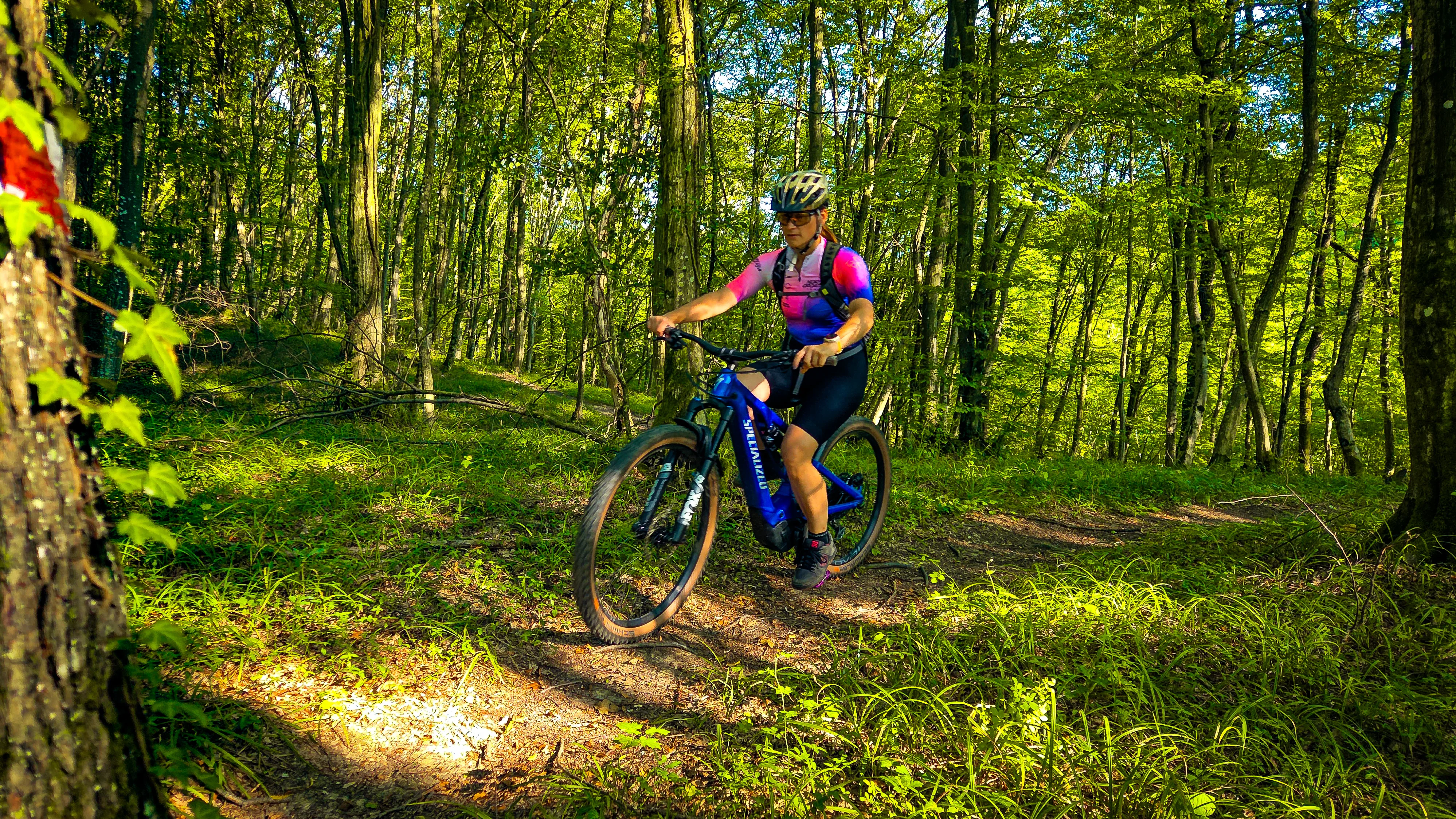 20260722_175052_011.webp