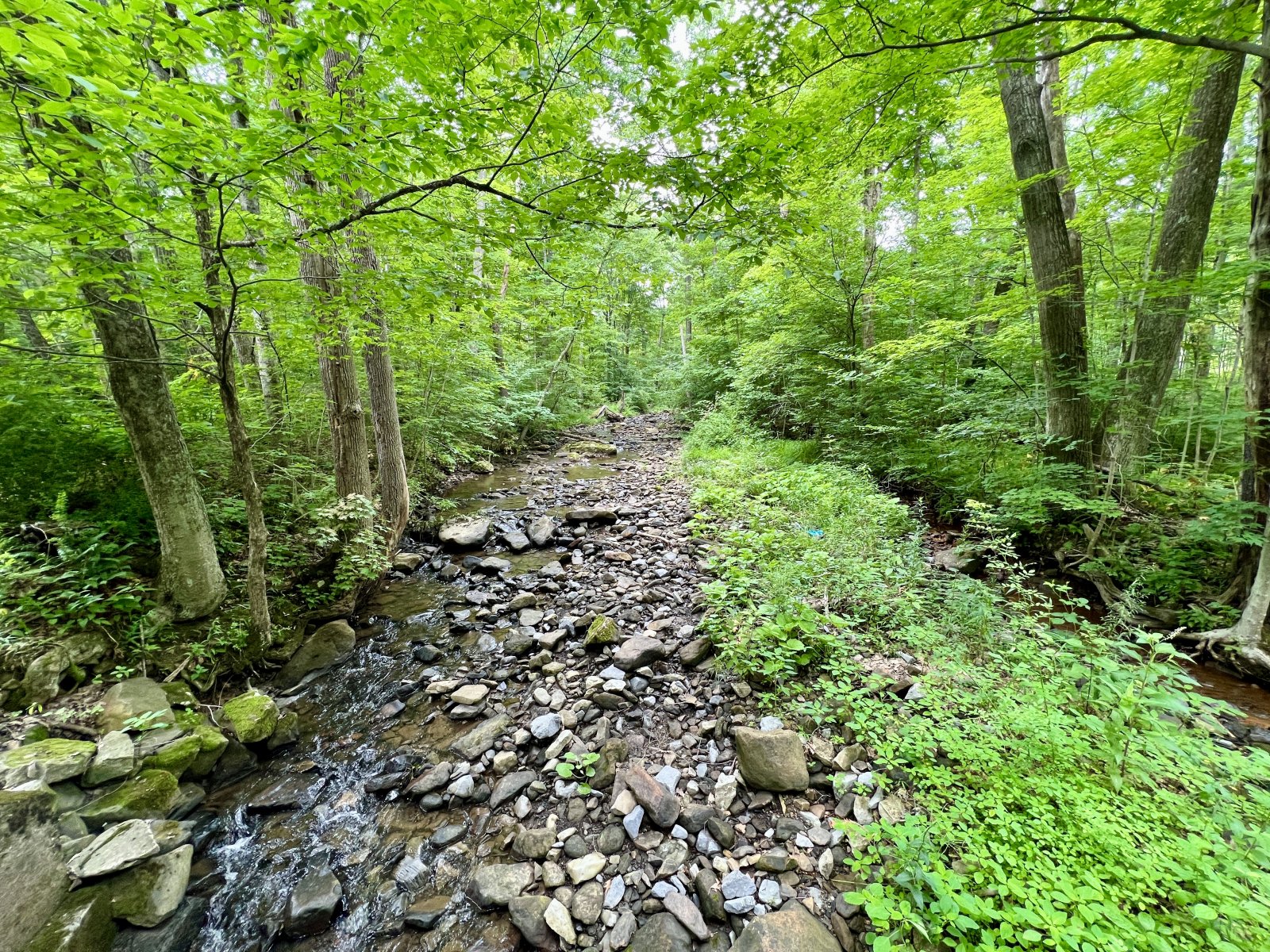 2260CF08-6689-4095-82C2-3139AC0248FA.jpeg