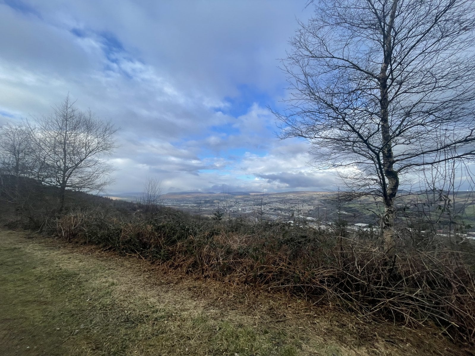 263A7572-A17D-4F7E-8355-F875ECEE095E.jpeg