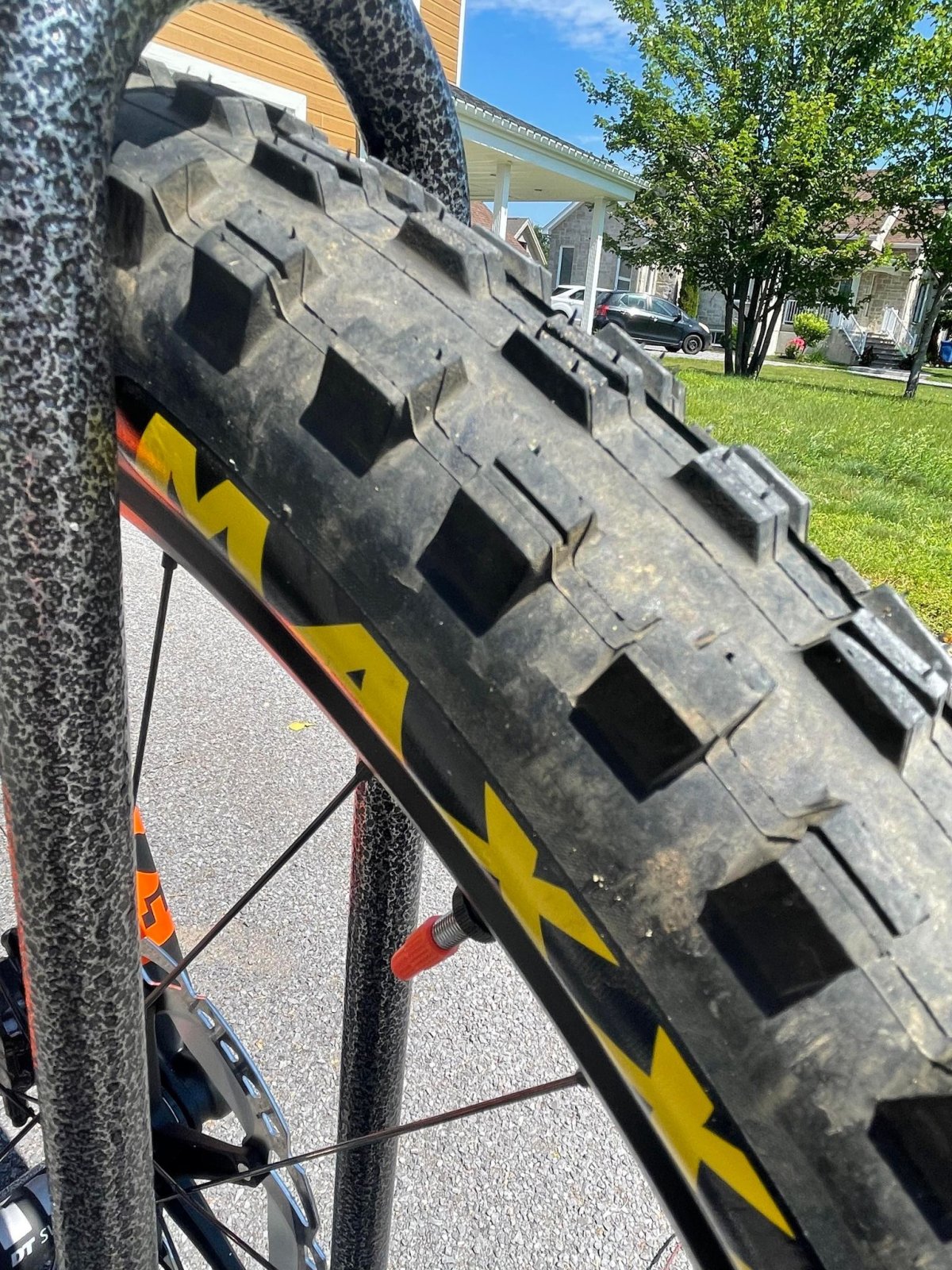 294940525_2230635217113025_8652111333021244454_n.jpg