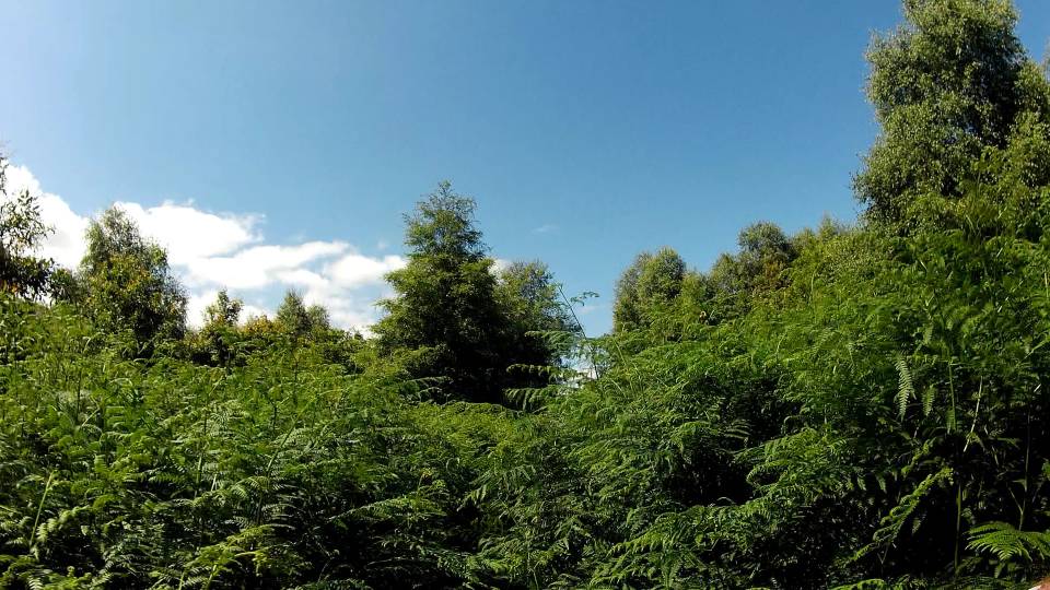 2995_1657741115469.jpg