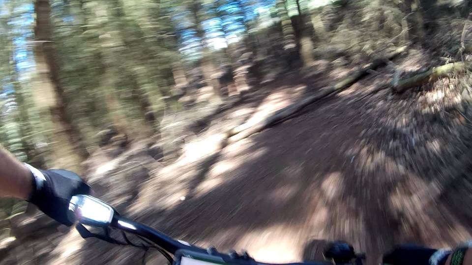 2995_1657741572415.jpg