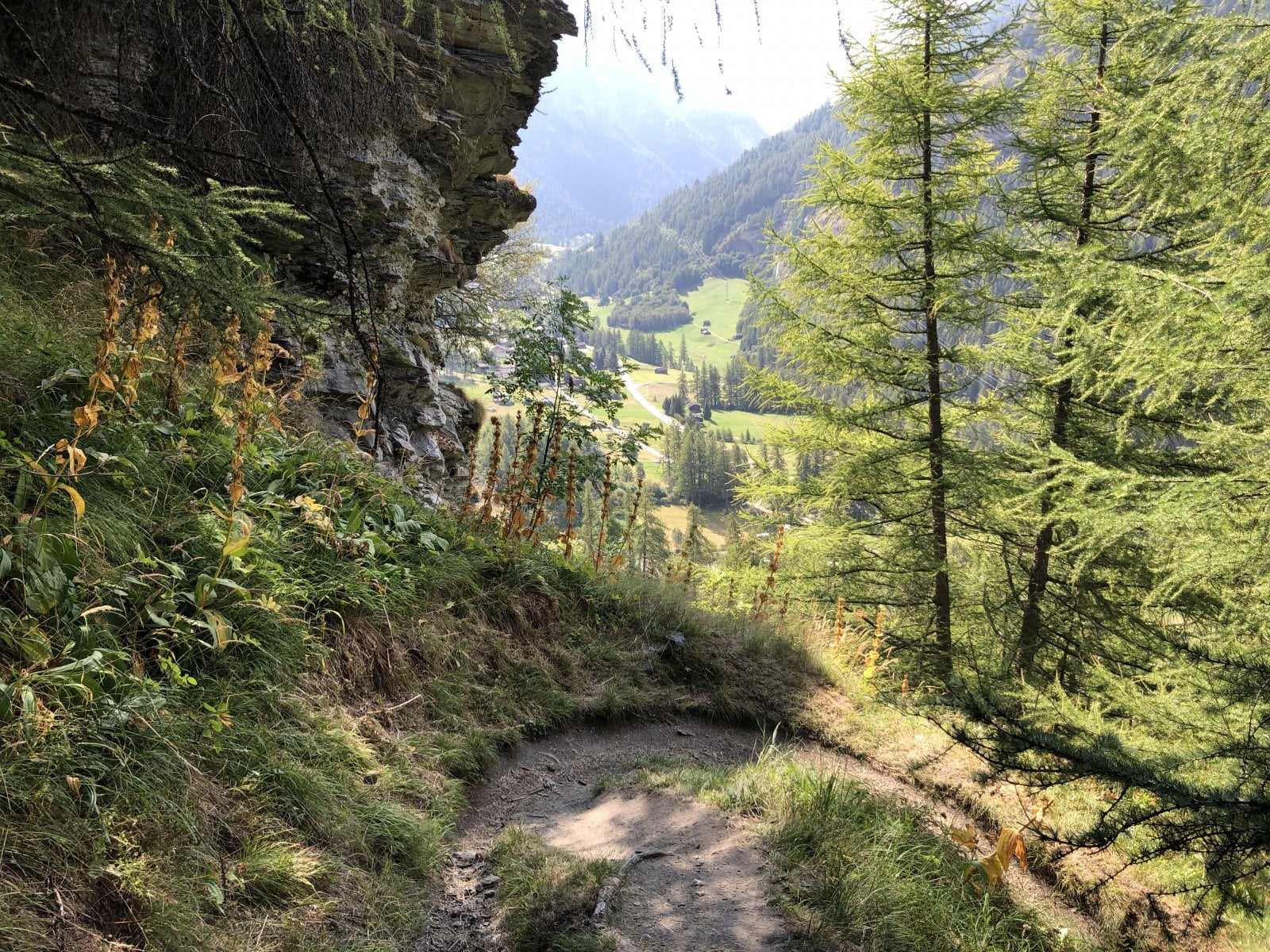 2C24D08C-62BB-4E8C-B3F5-33121DF1E101.jpeg