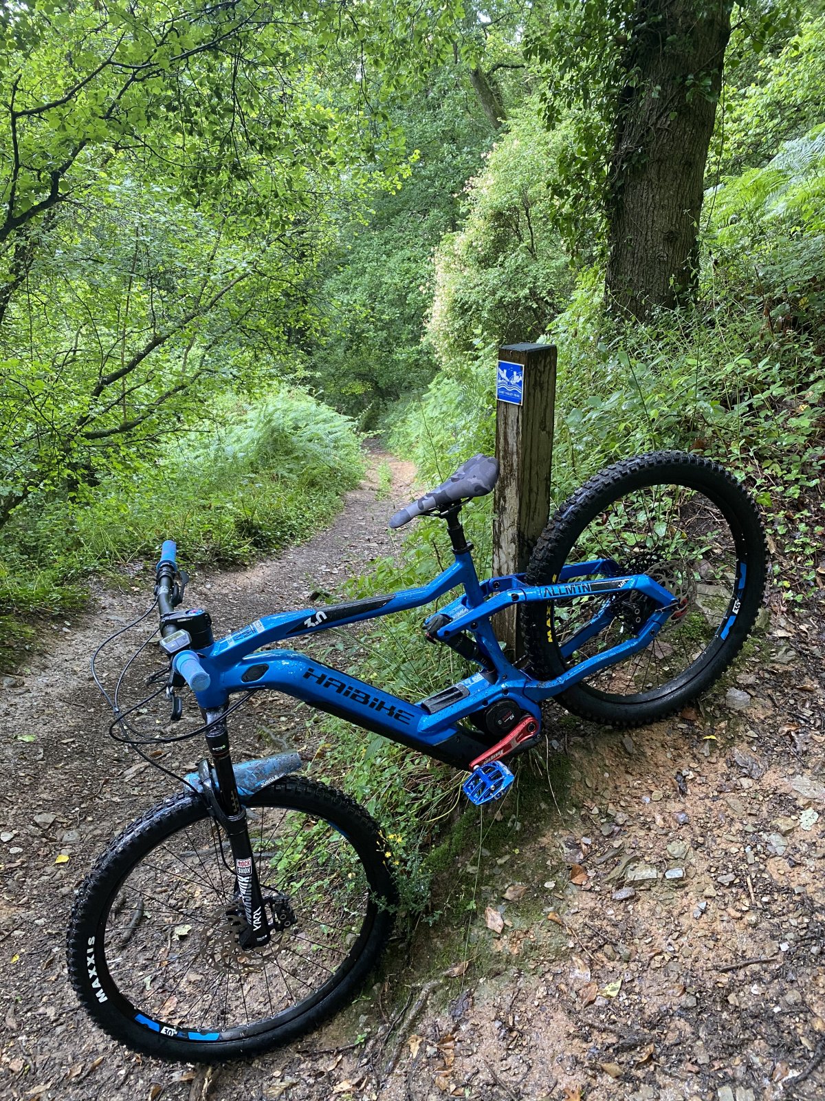 373E8C8B-D5C8-450E-AE61-9C0A763ACD00.jpeg