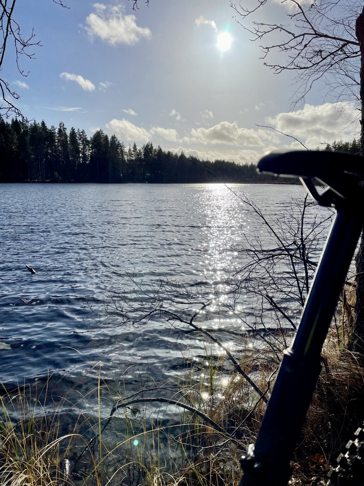 3DC1CF0F-BB65-41B3-9A5B-EE505080C88C.jpeg
