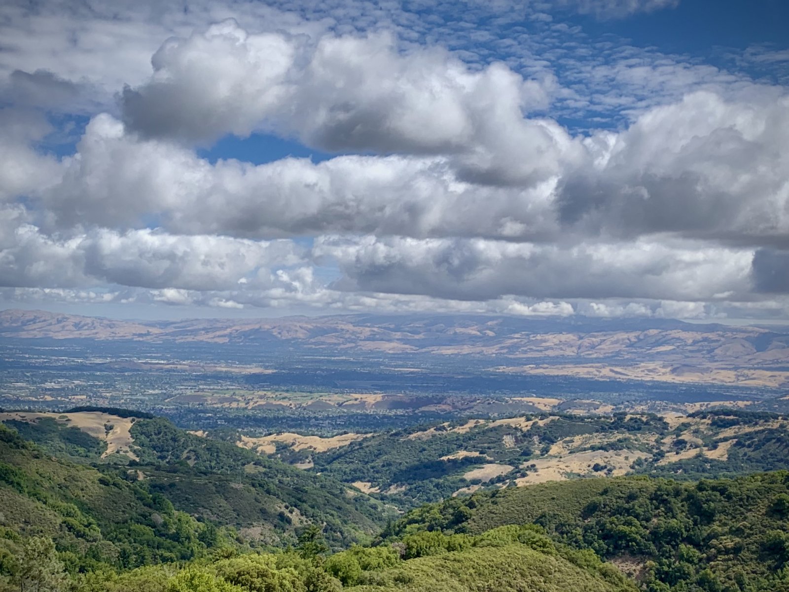 49BEF043-599A-47A2-BE82-8F4506BF77DF.jpeg