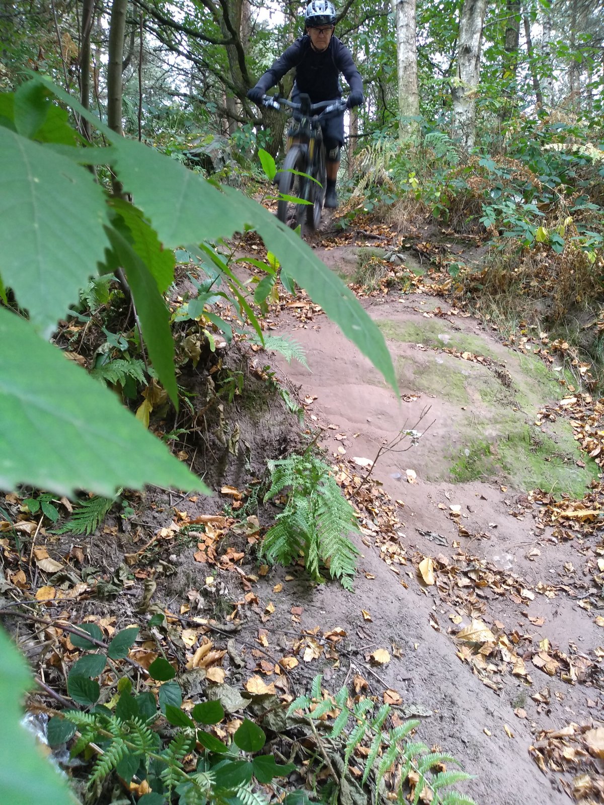 6 PhilG dropping down from NCB to railbed.jpg