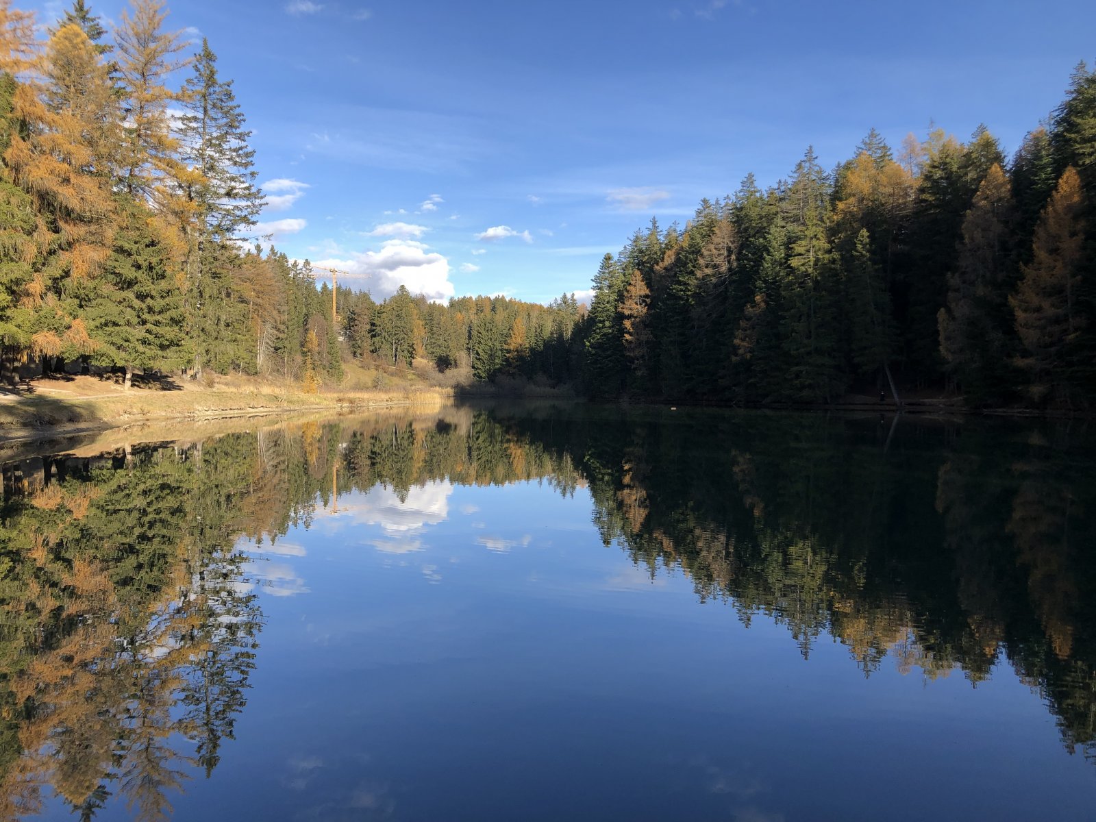 62E3754E-ED4A-41DA-A308-1E40AC74EC9B.jpeg