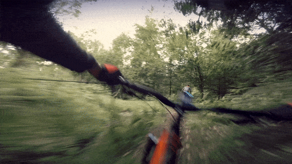 6CE62590-ED5B-4489-9C55-739547EE3F39.gif