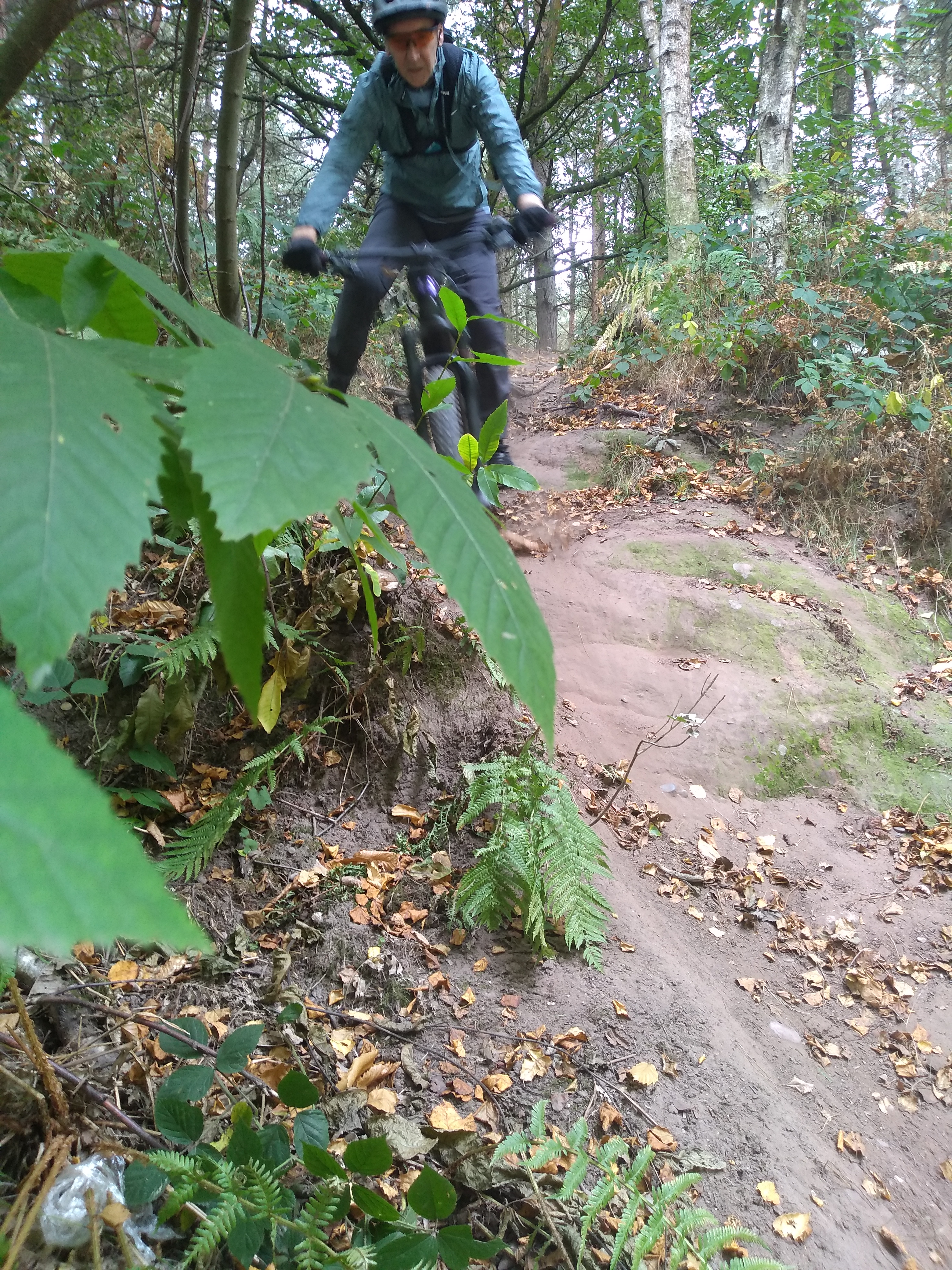 7 DaveDog about to hit the photographer.jpg