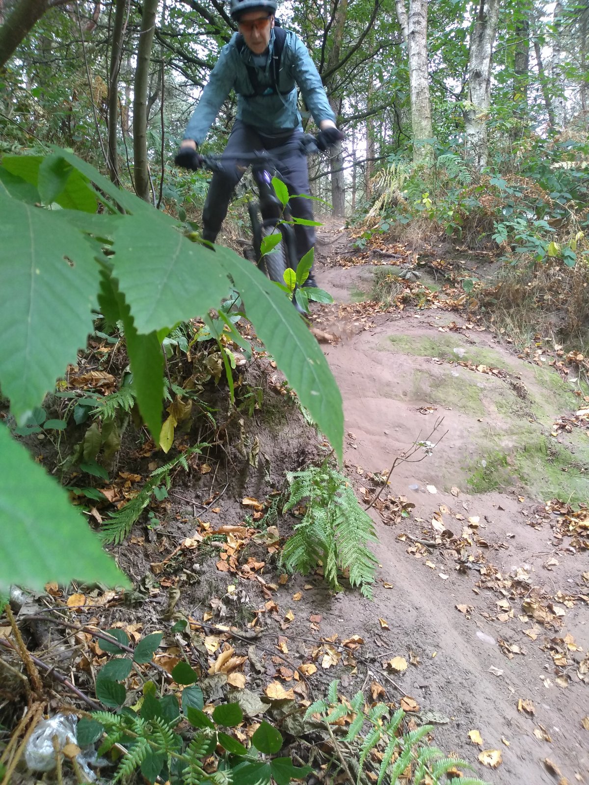 7 DaveDog about to hit the photographer.jpg