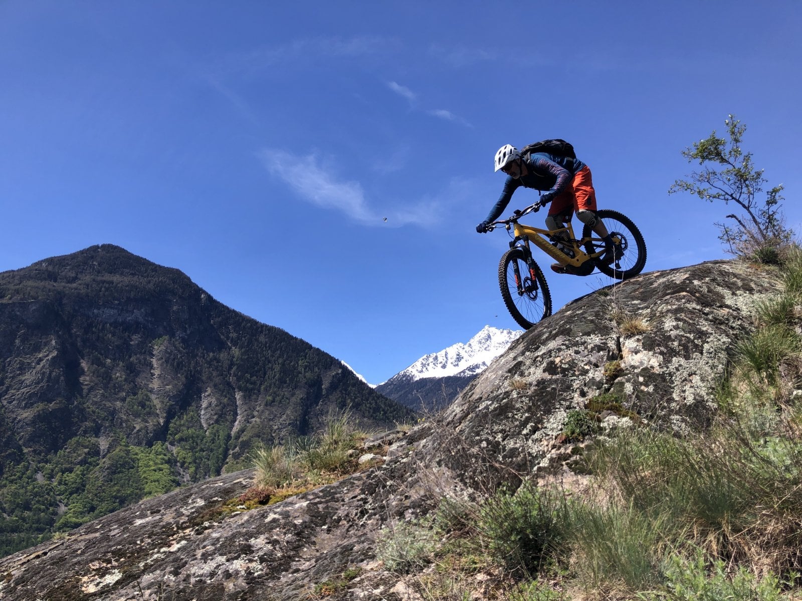 70E87358-7C8B-4E77-B1E9-98504D9E69DB.jpeg