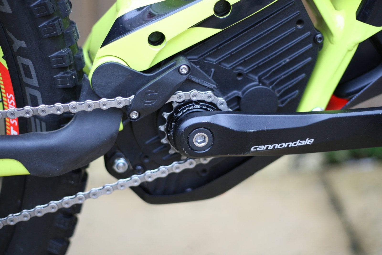 739P2892.JPG