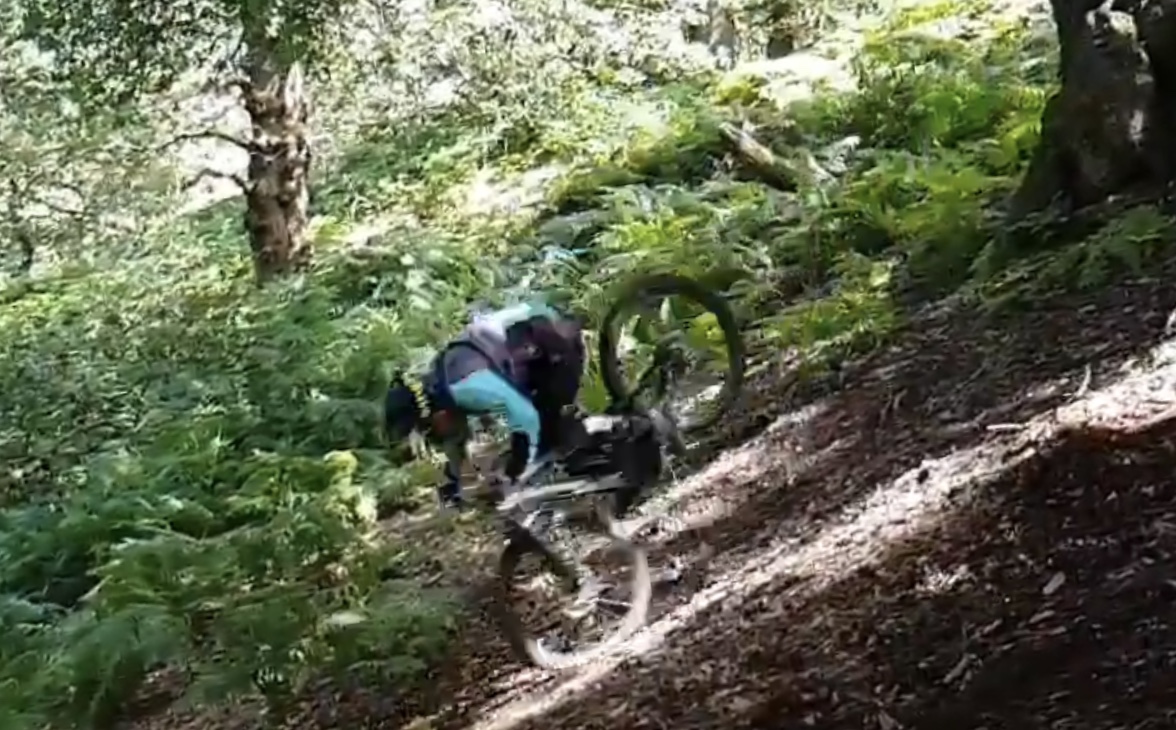 756822B3-F7AF-44C9-A85B-F695C0078F74.jpeg