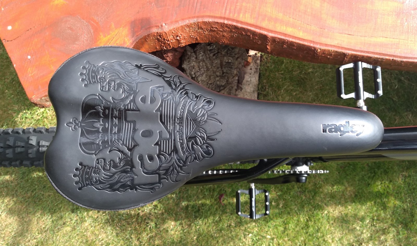 8 Saddle.jpg