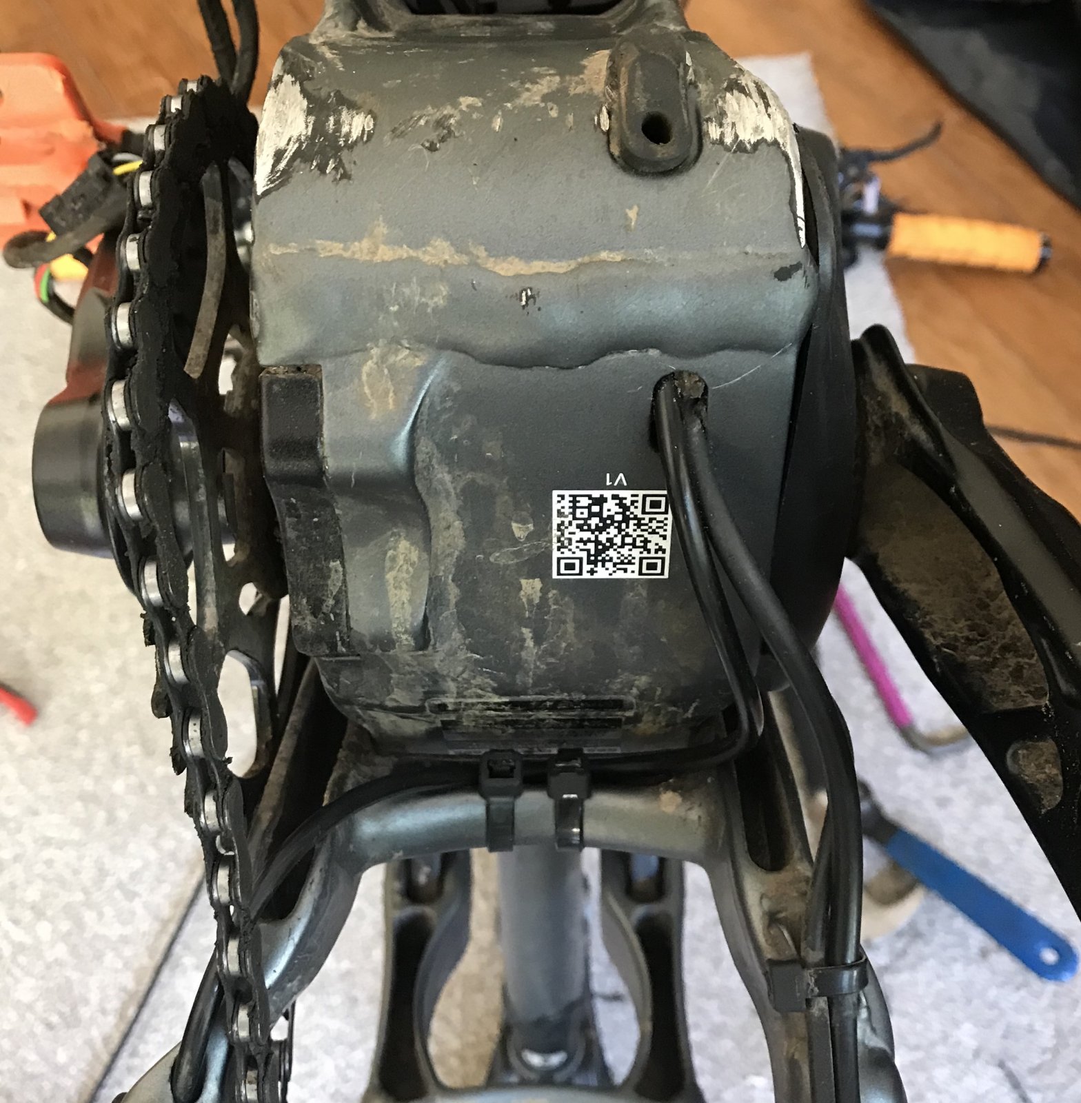 856FB74E-B26E-49DF-BB1F-2EC4BF435016.jpeg