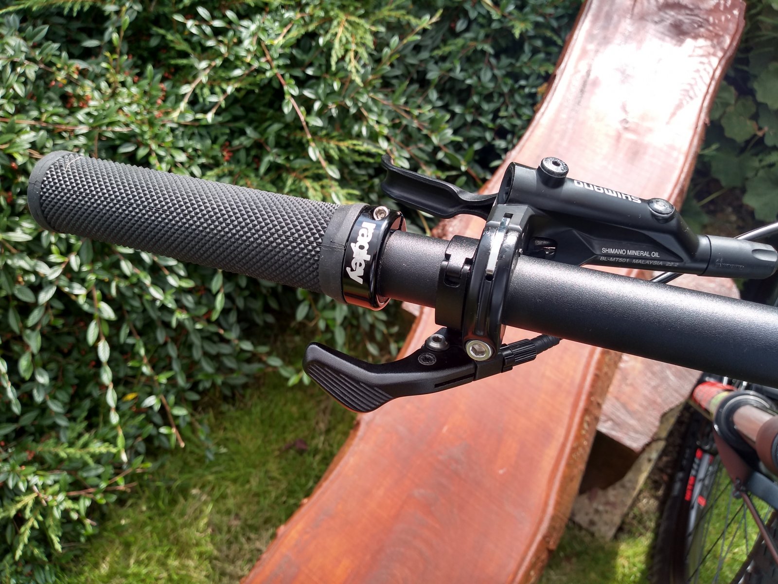 9 Grip & remote.jpg
